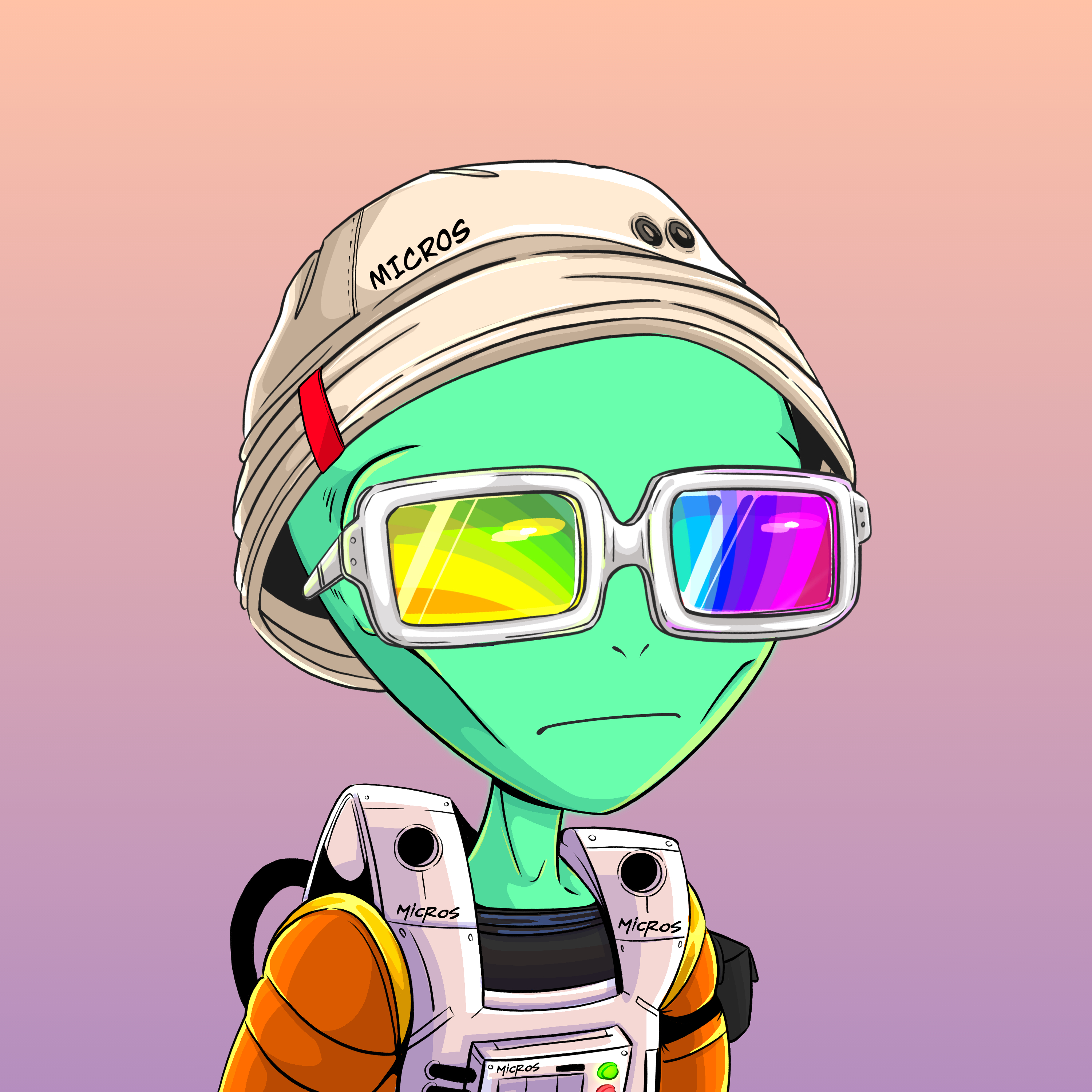 Micros #3858