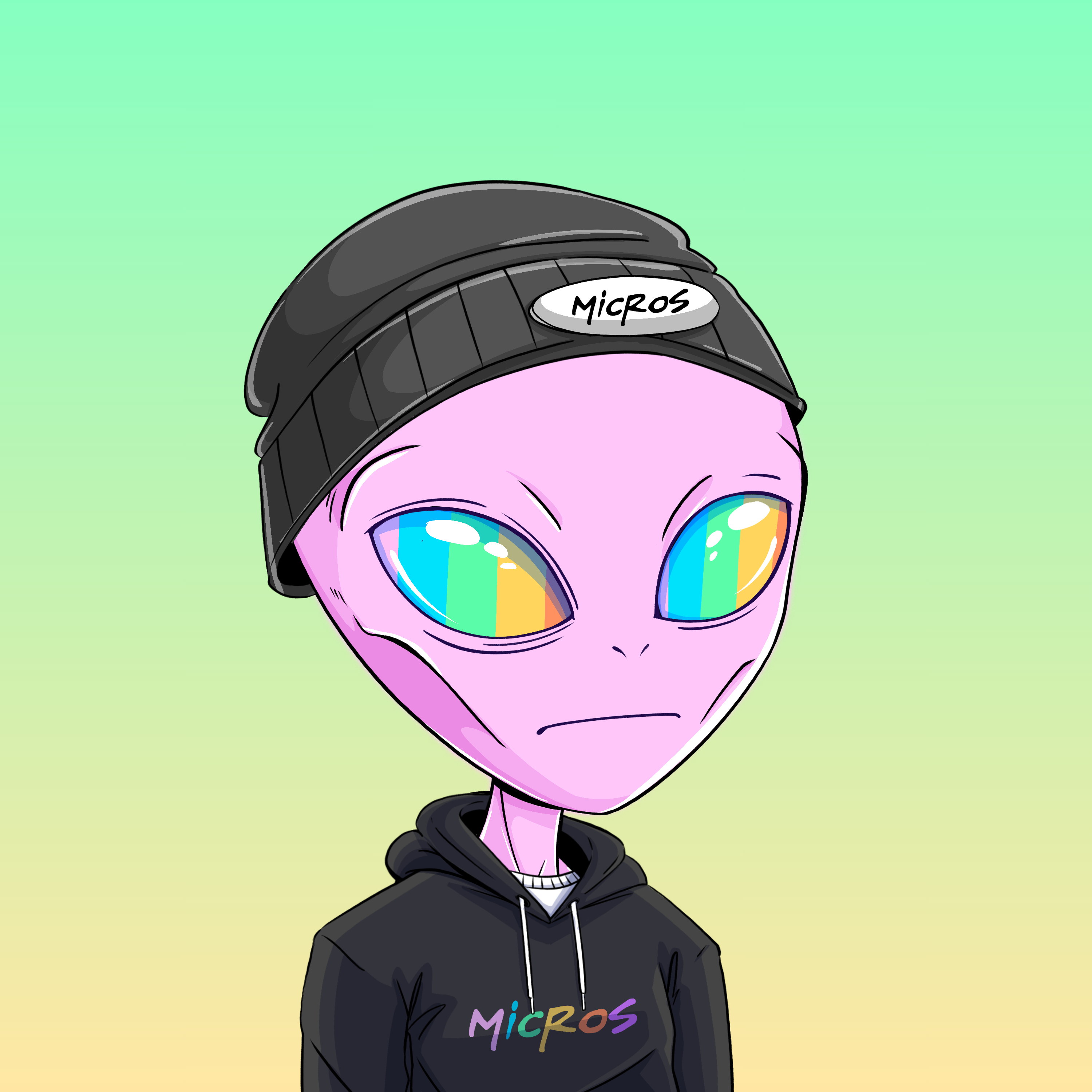 Micros #9567