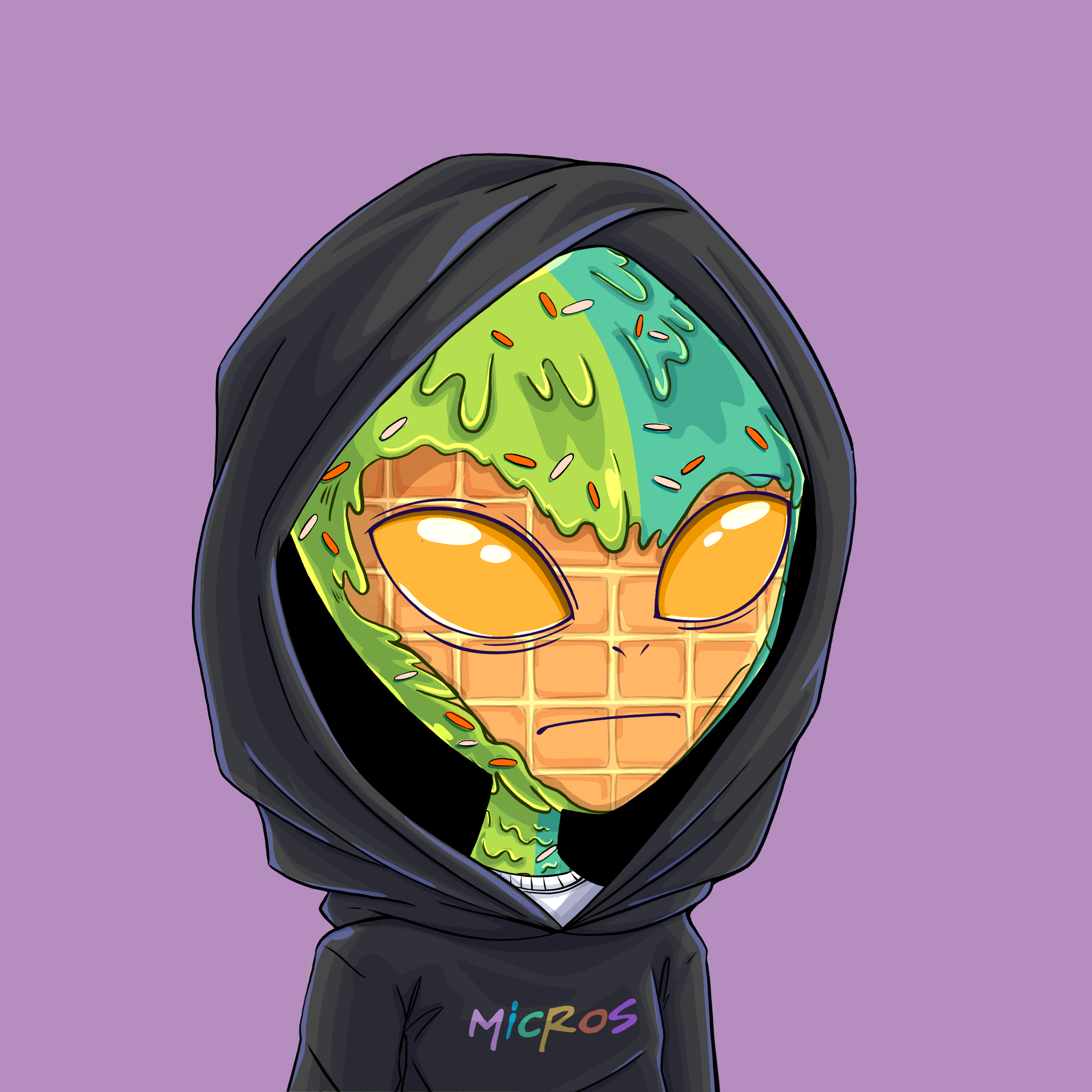 Micros #5060