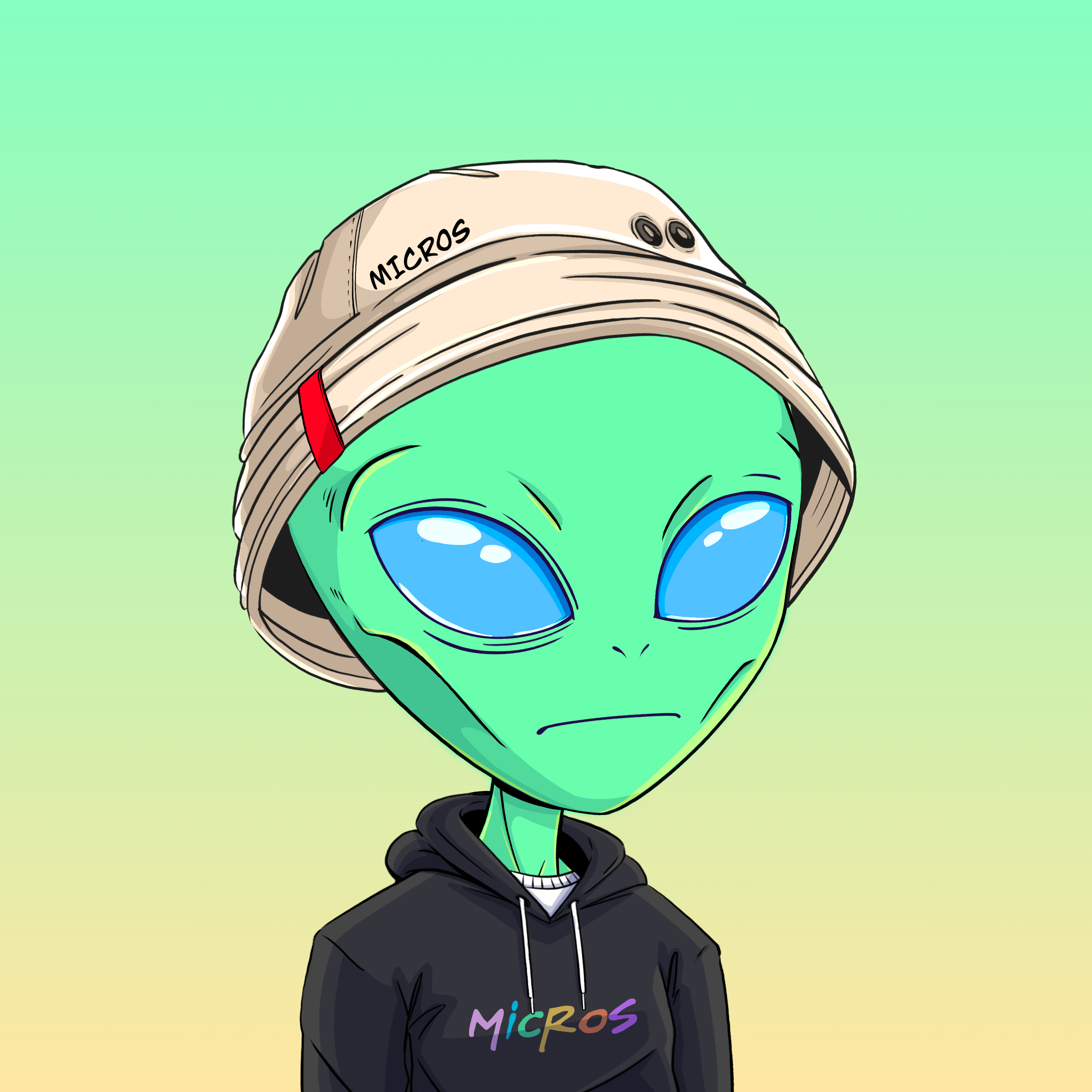 Micros #2447