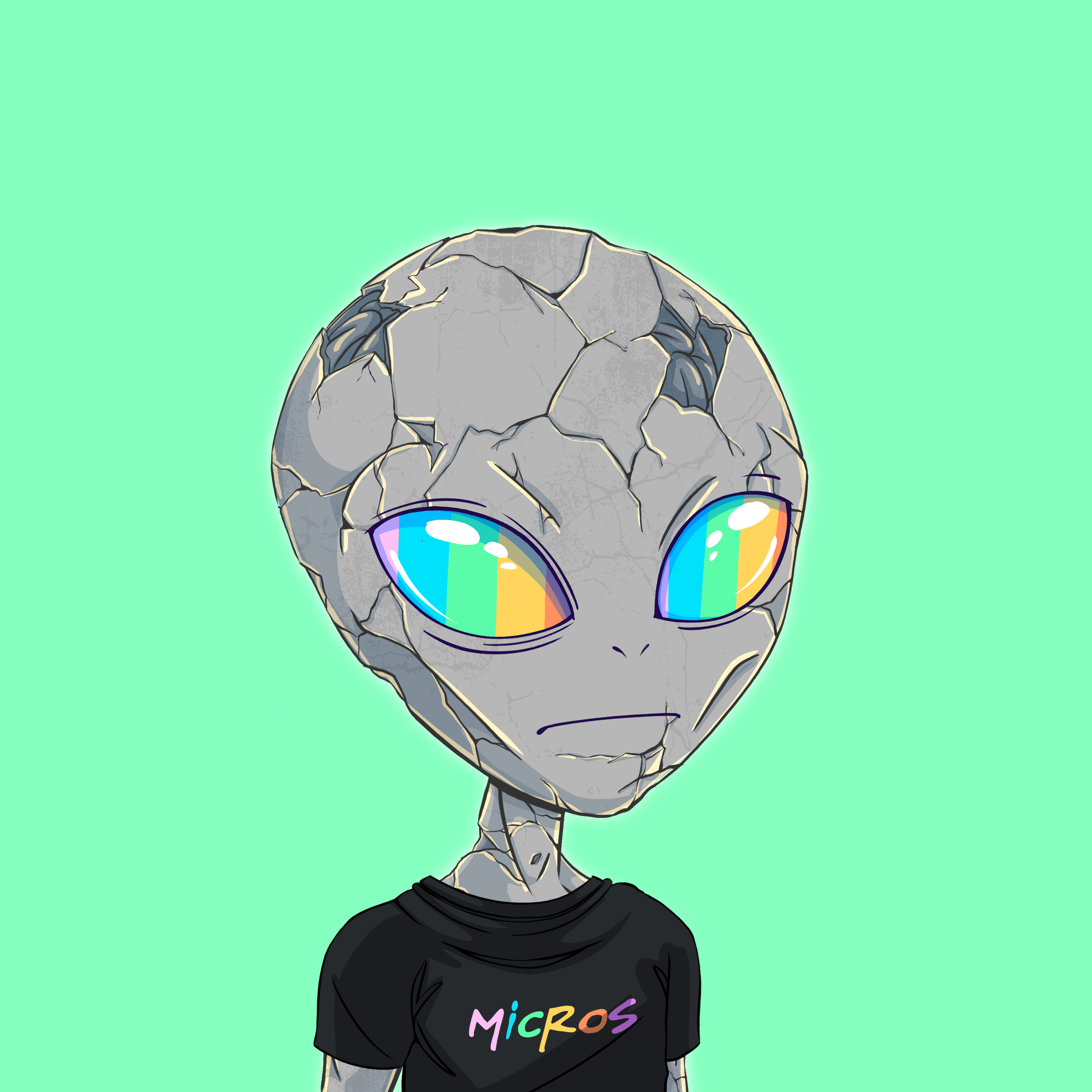 Micros #2134