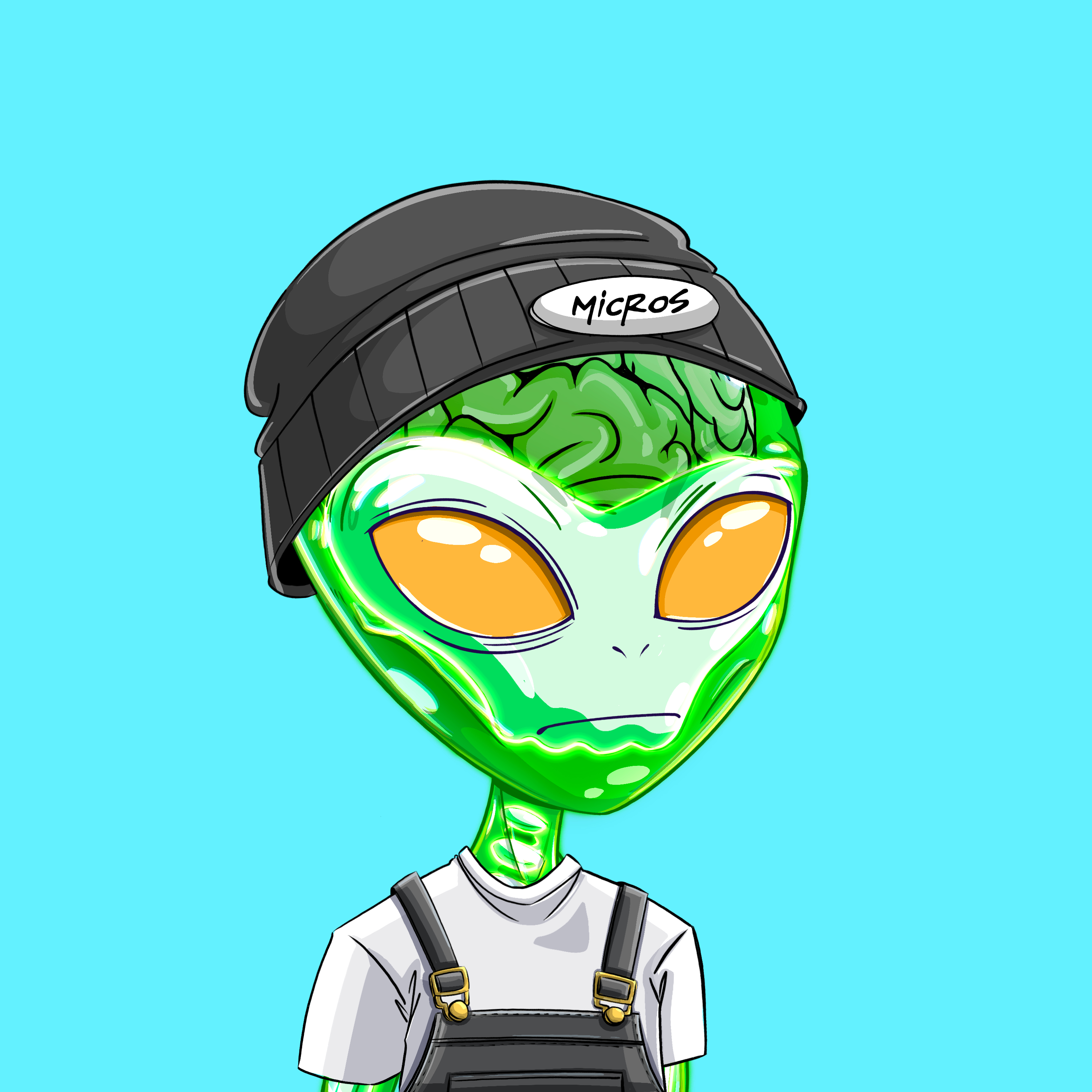 Micros #718