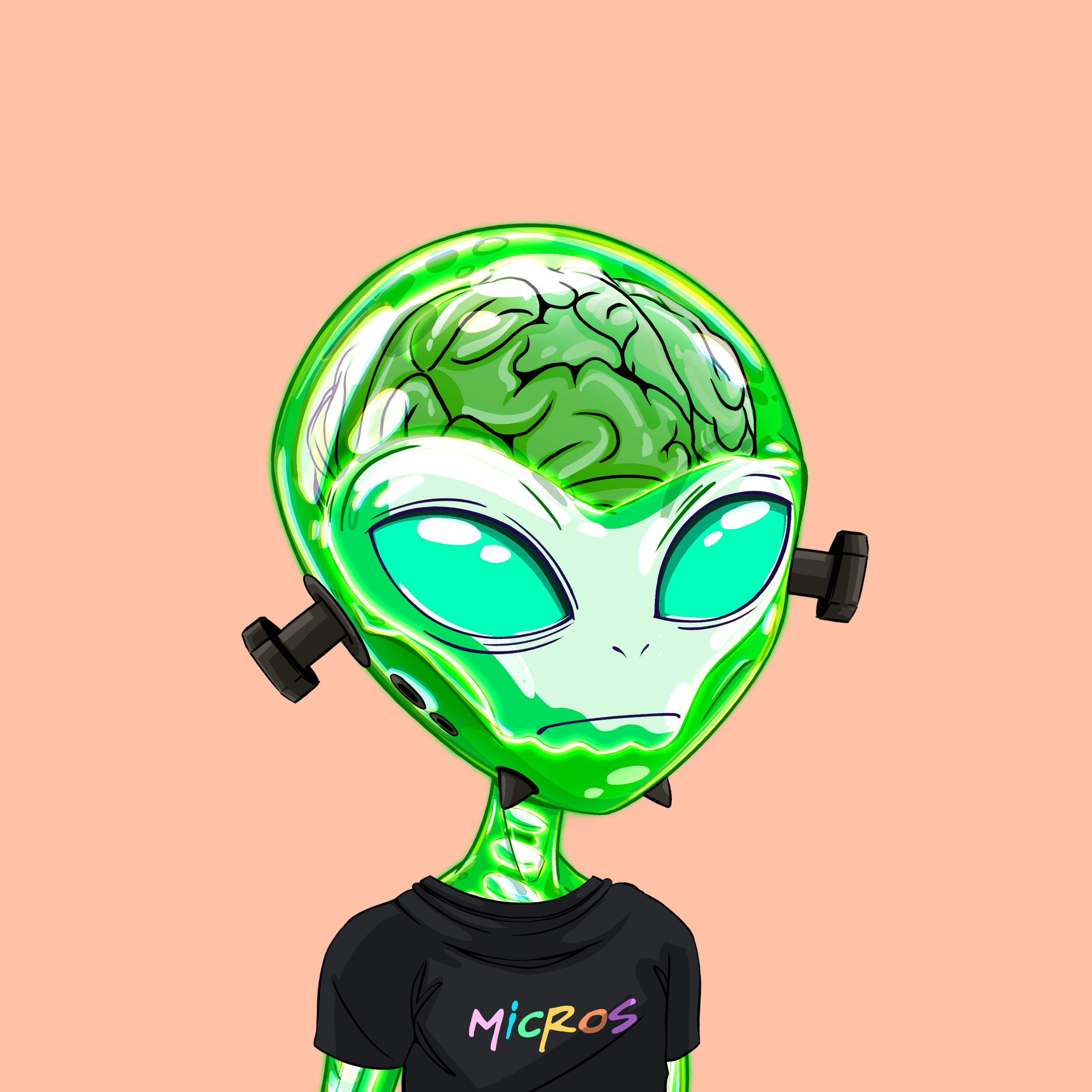 Micros #8514