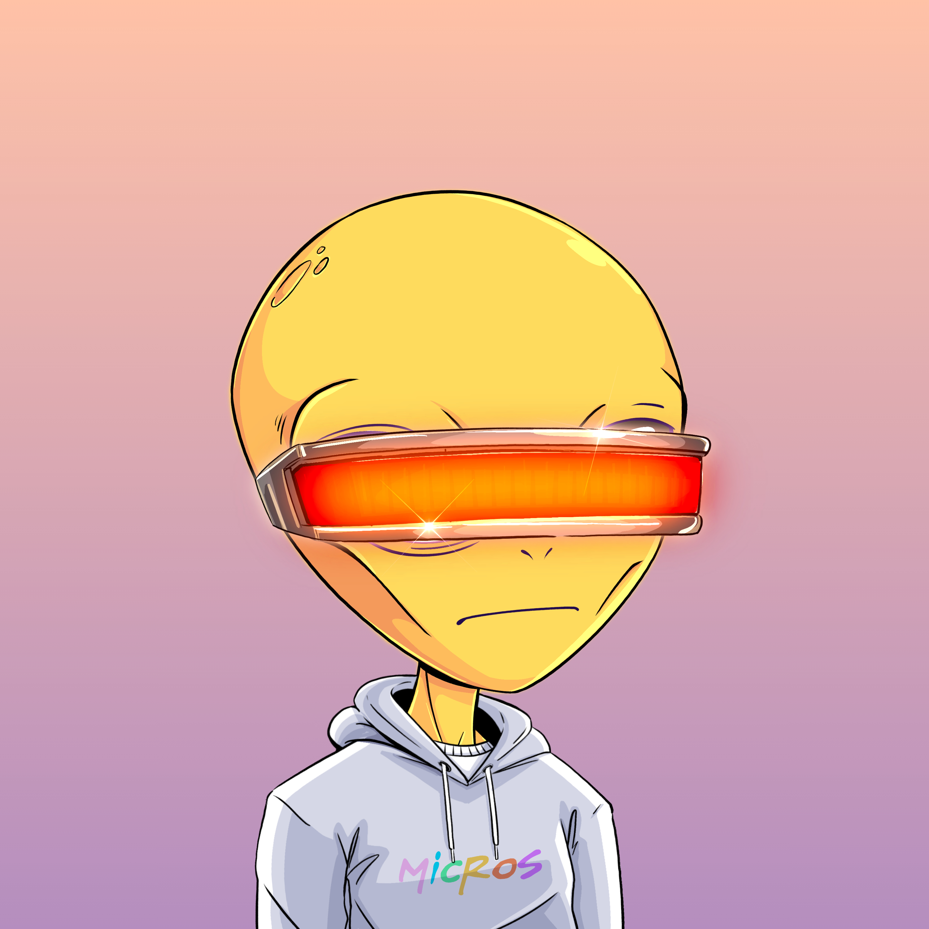Micros #5270