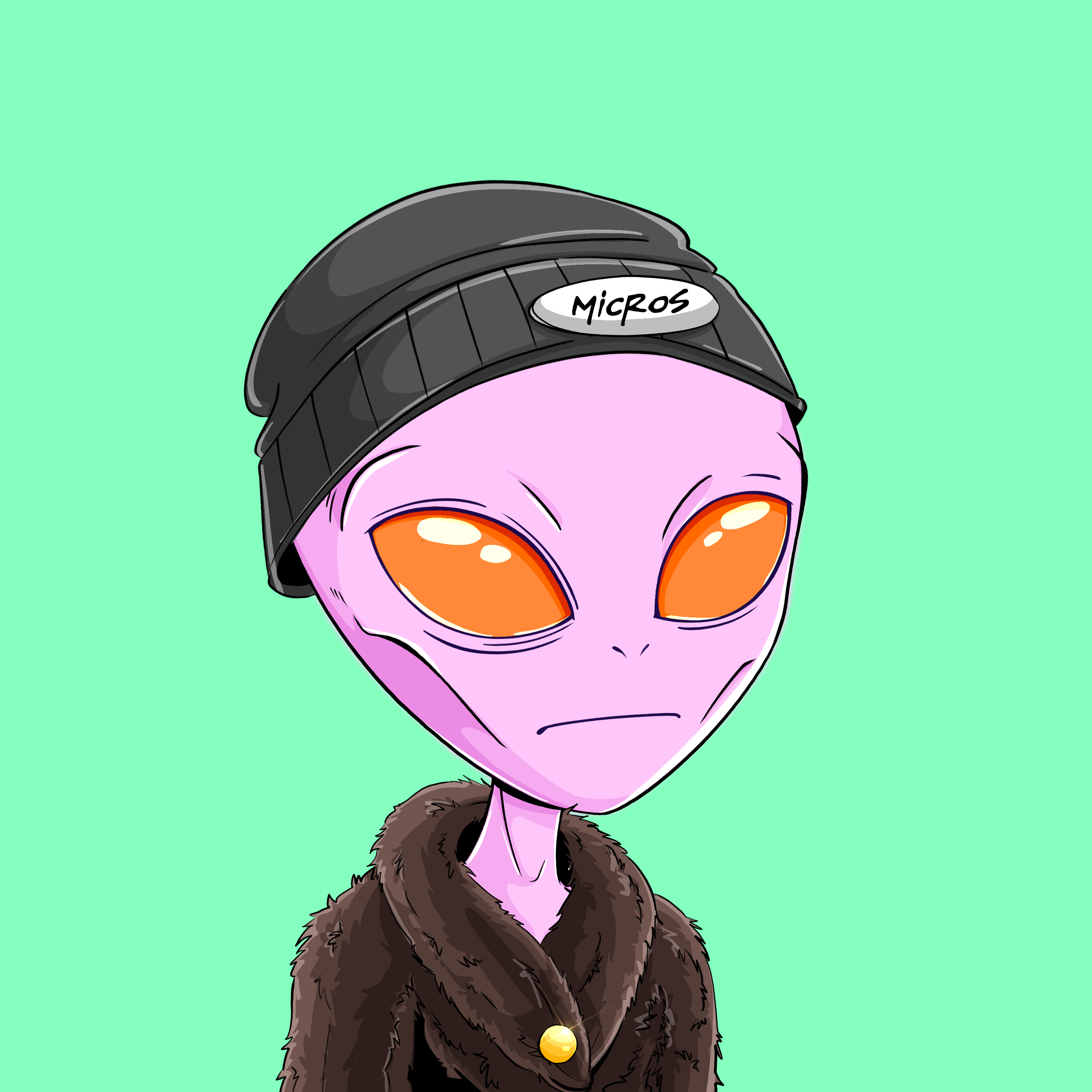 Micros #5155