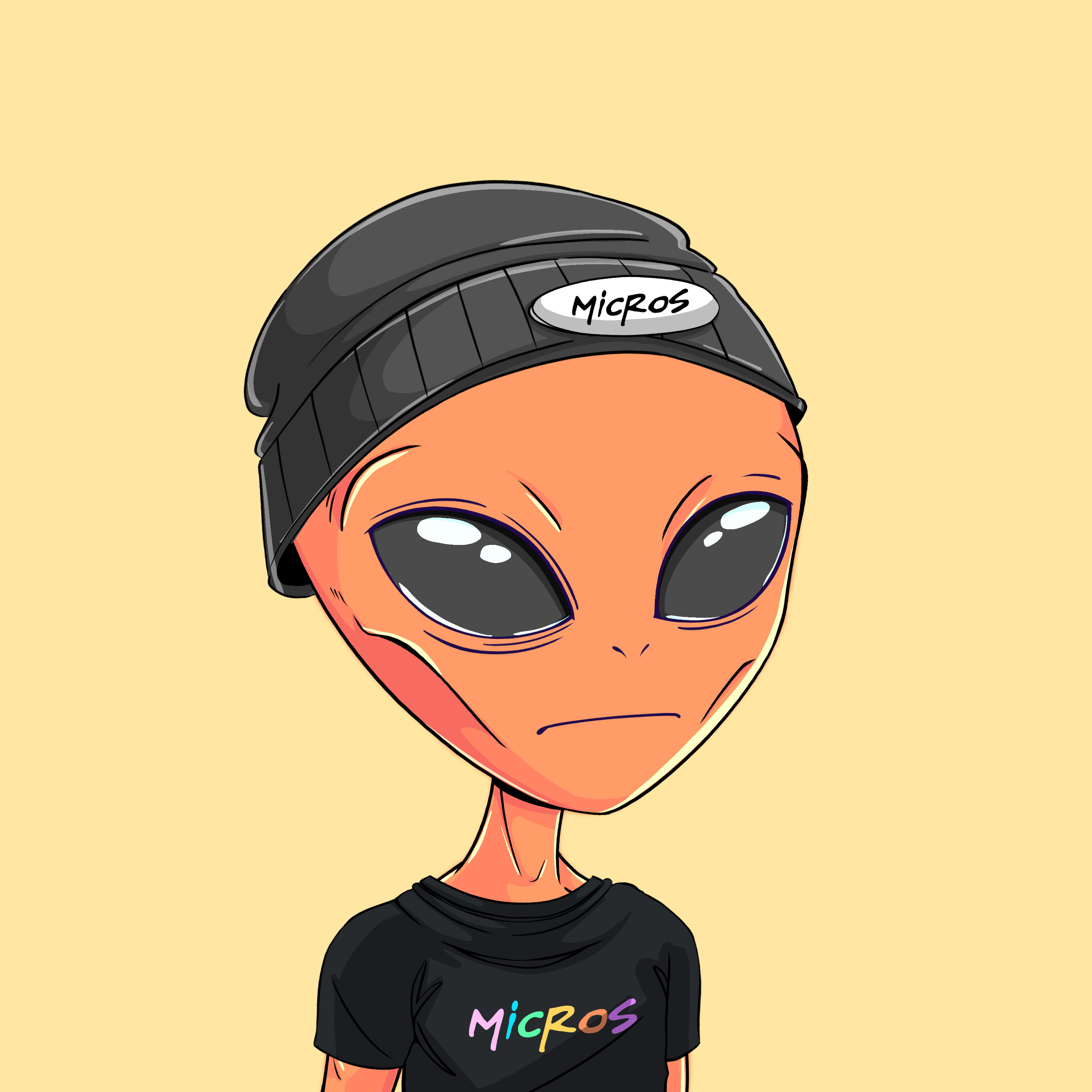 Micros #5833