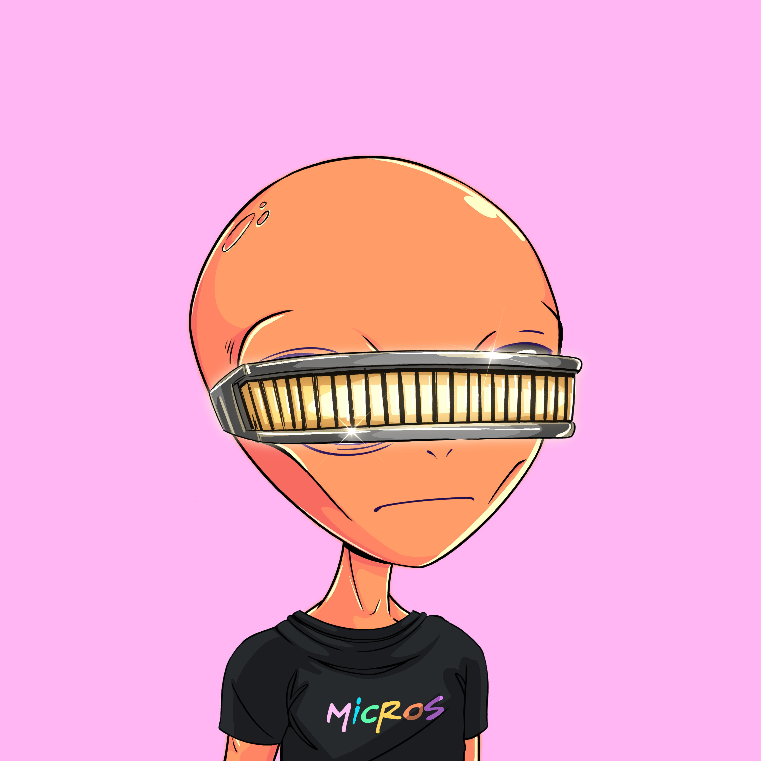 Micros #8504