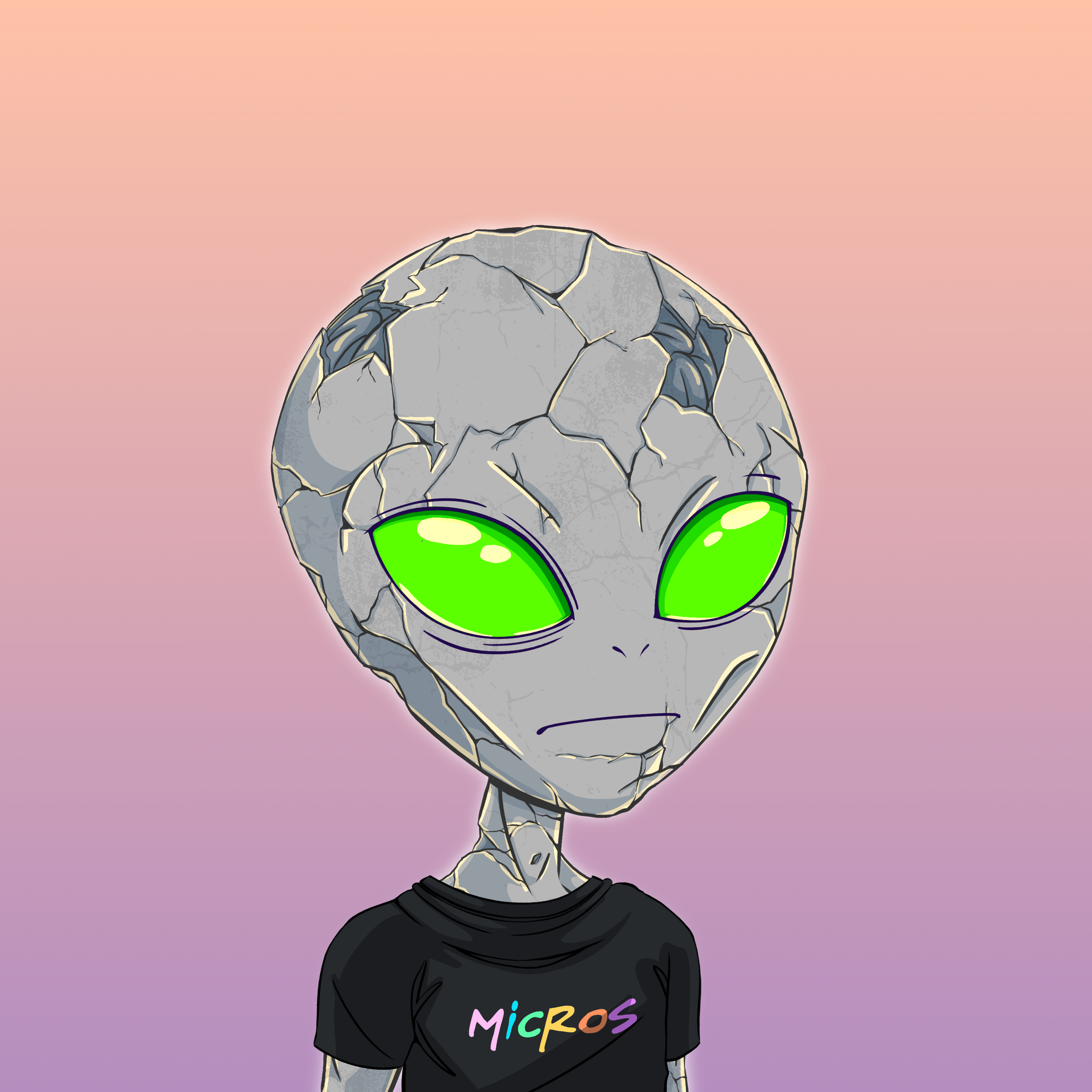 Micros #2169