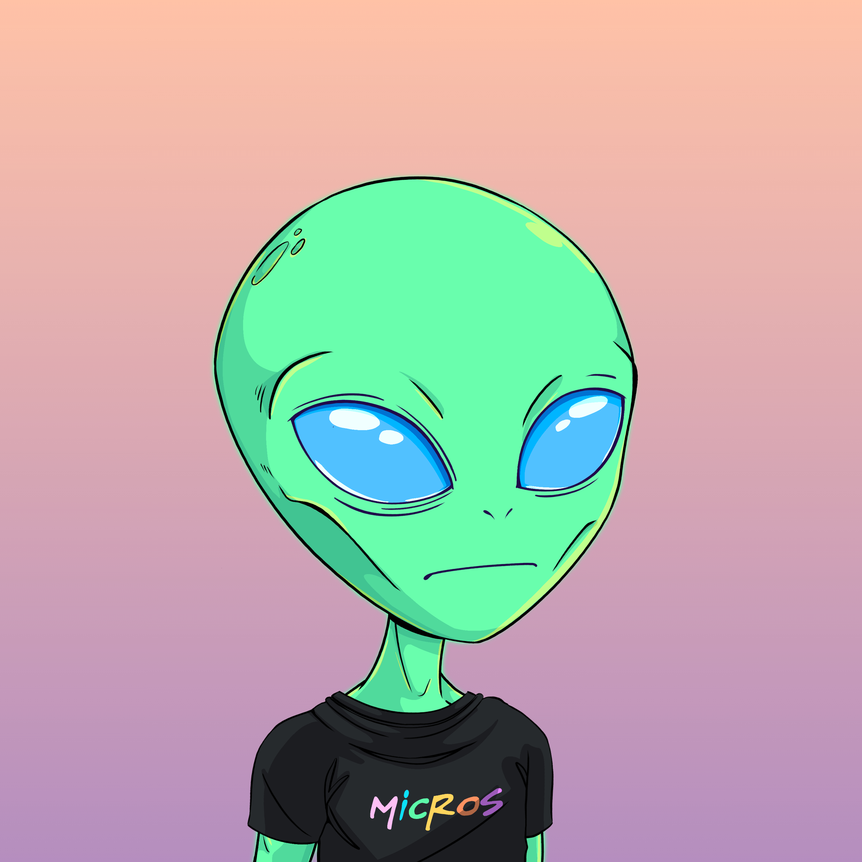 Micros #1782