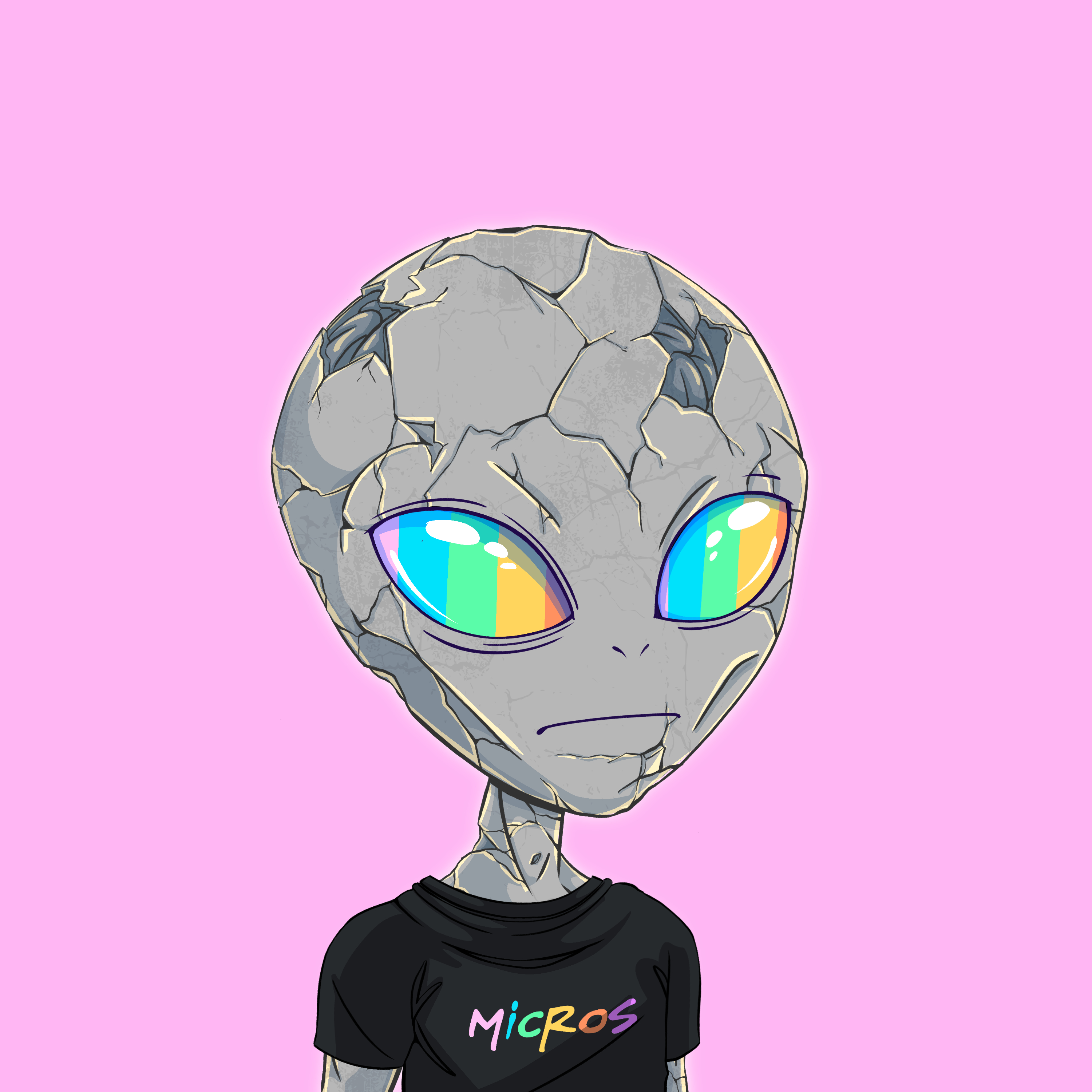 Micros #9570