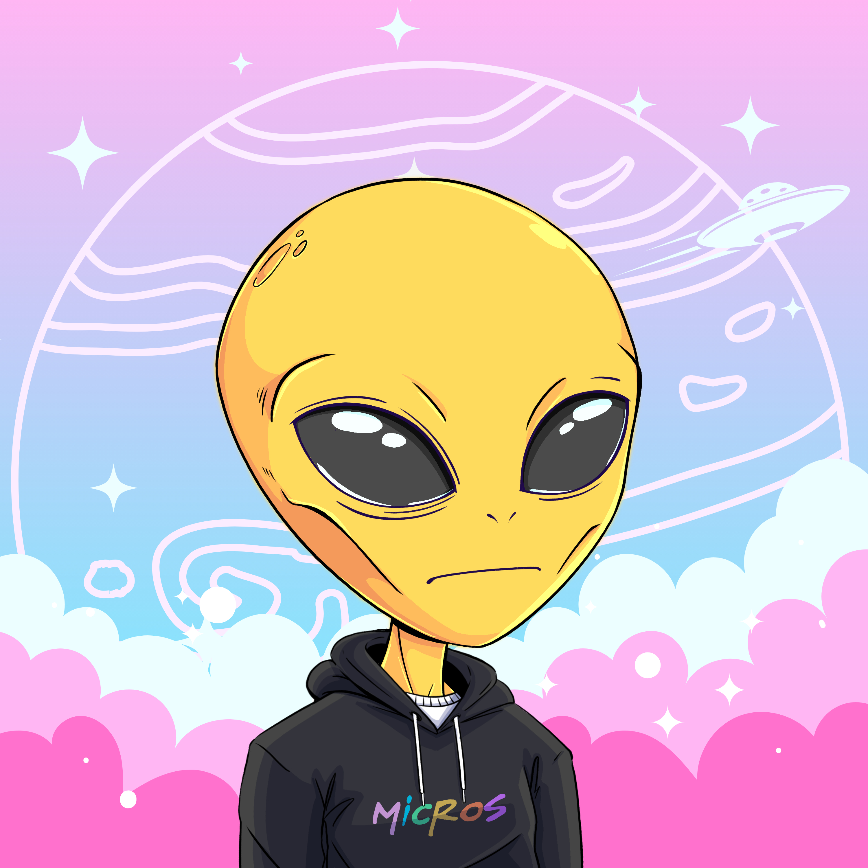 Micros #4199