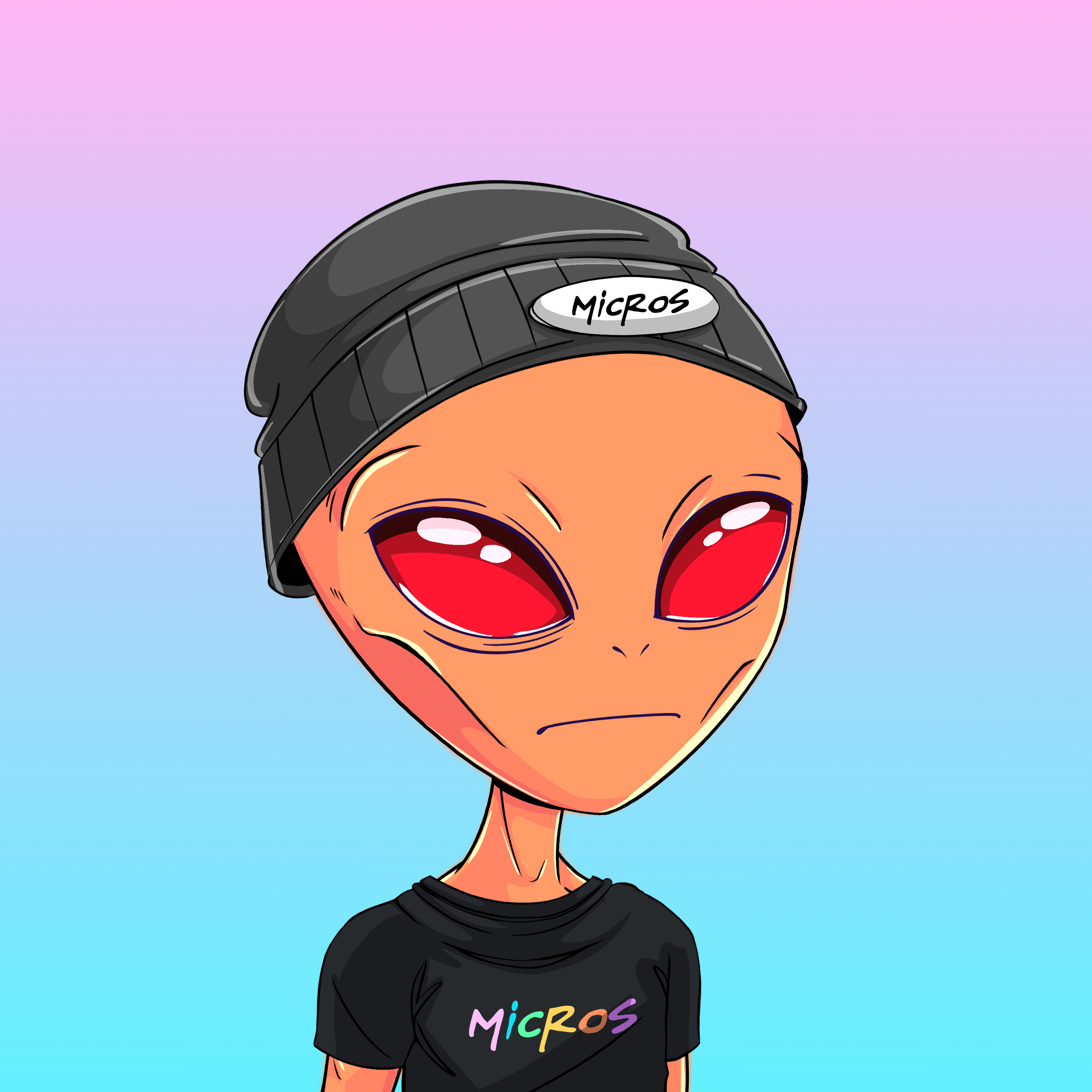 Micros #5507