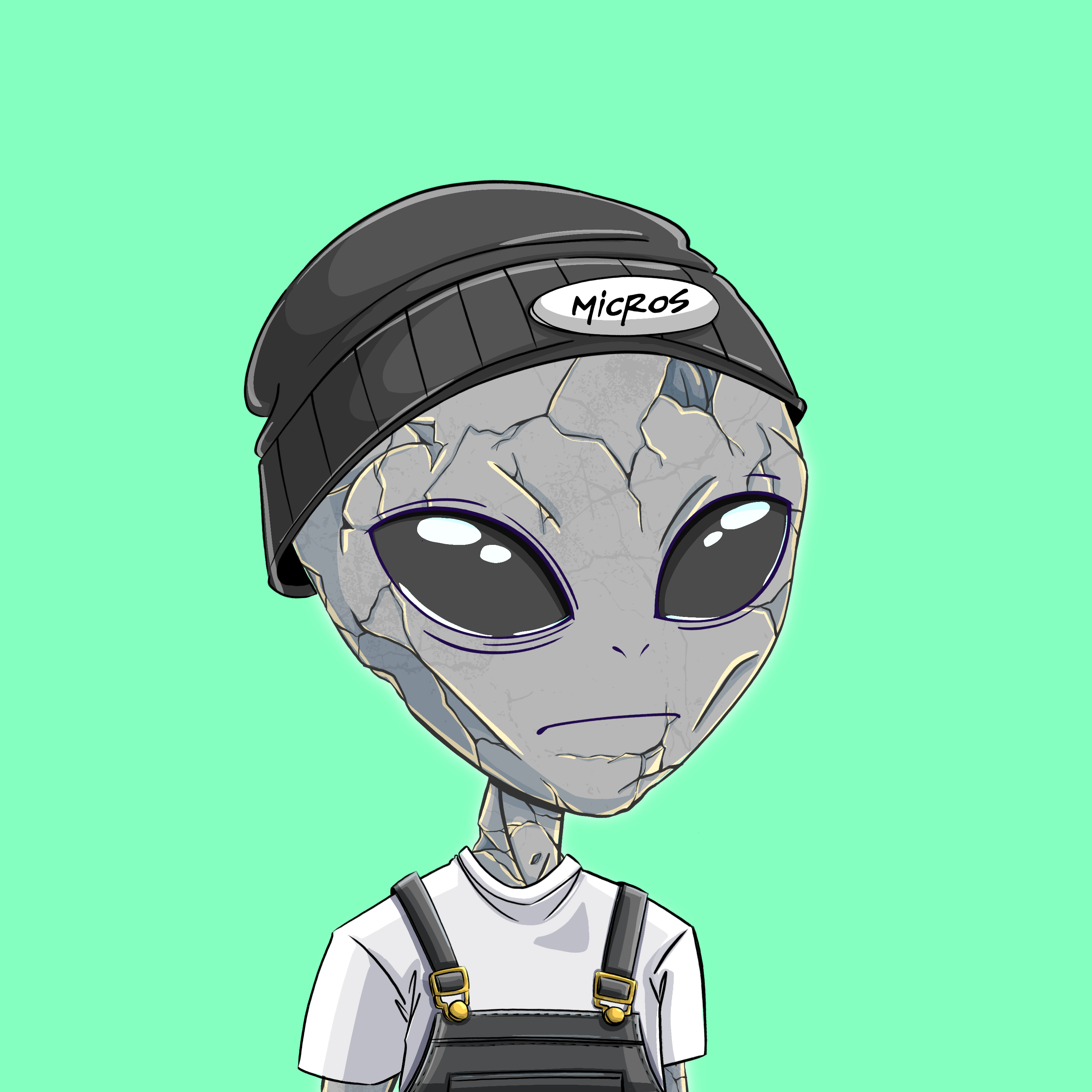 Micros #6639