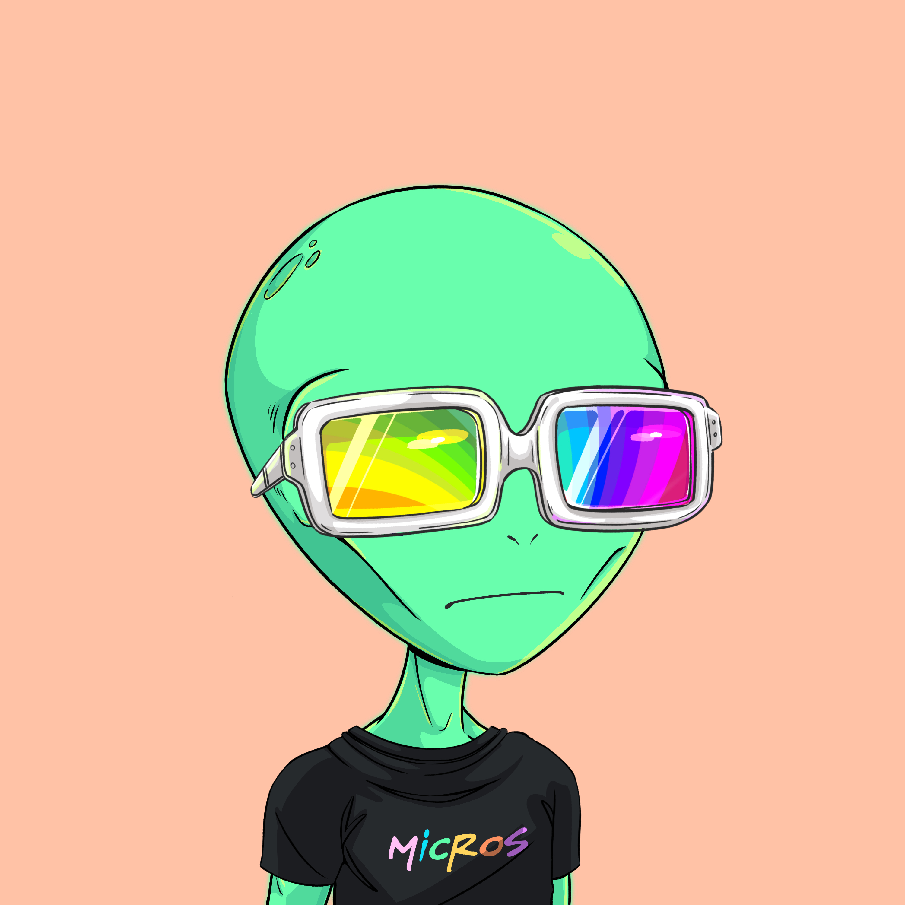 Micros #8054