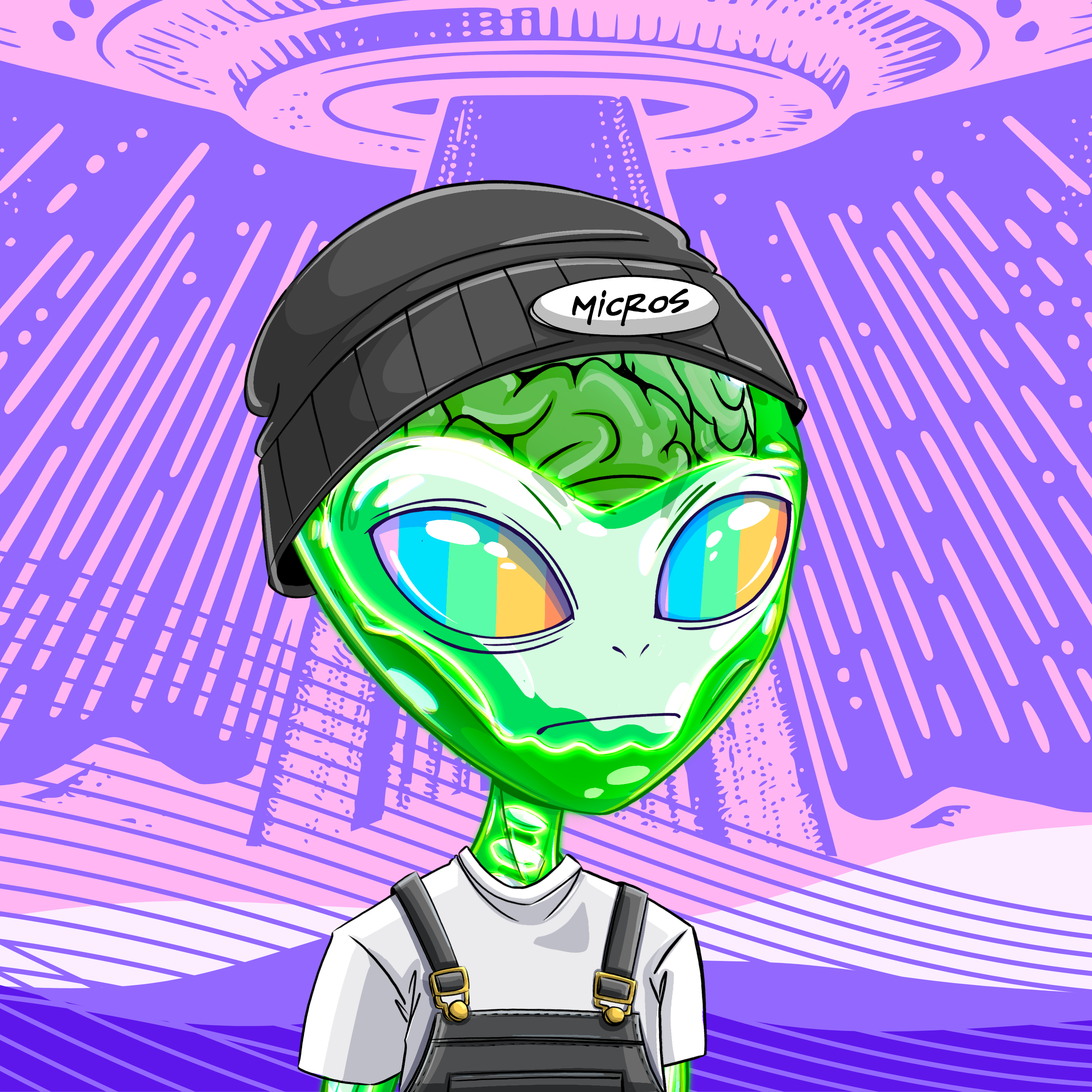 Micros #9594