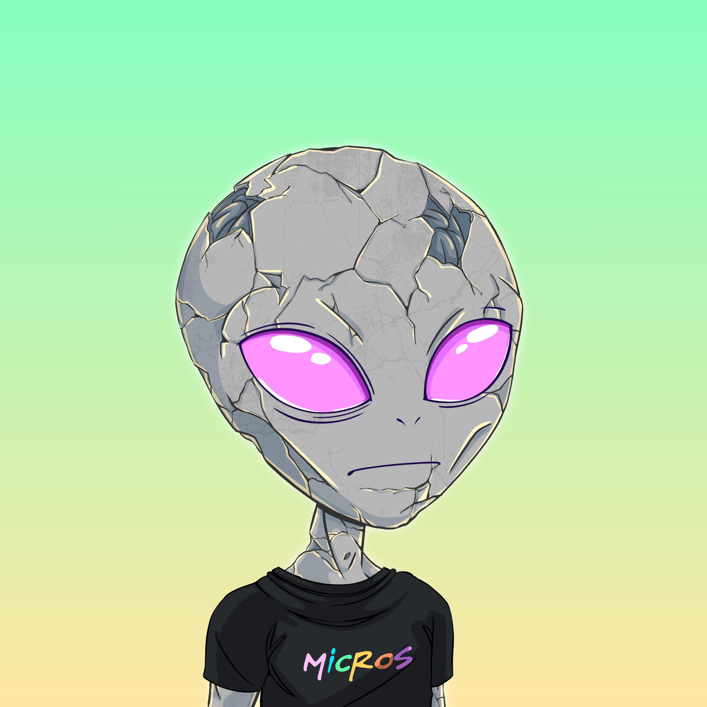 Micros #2062