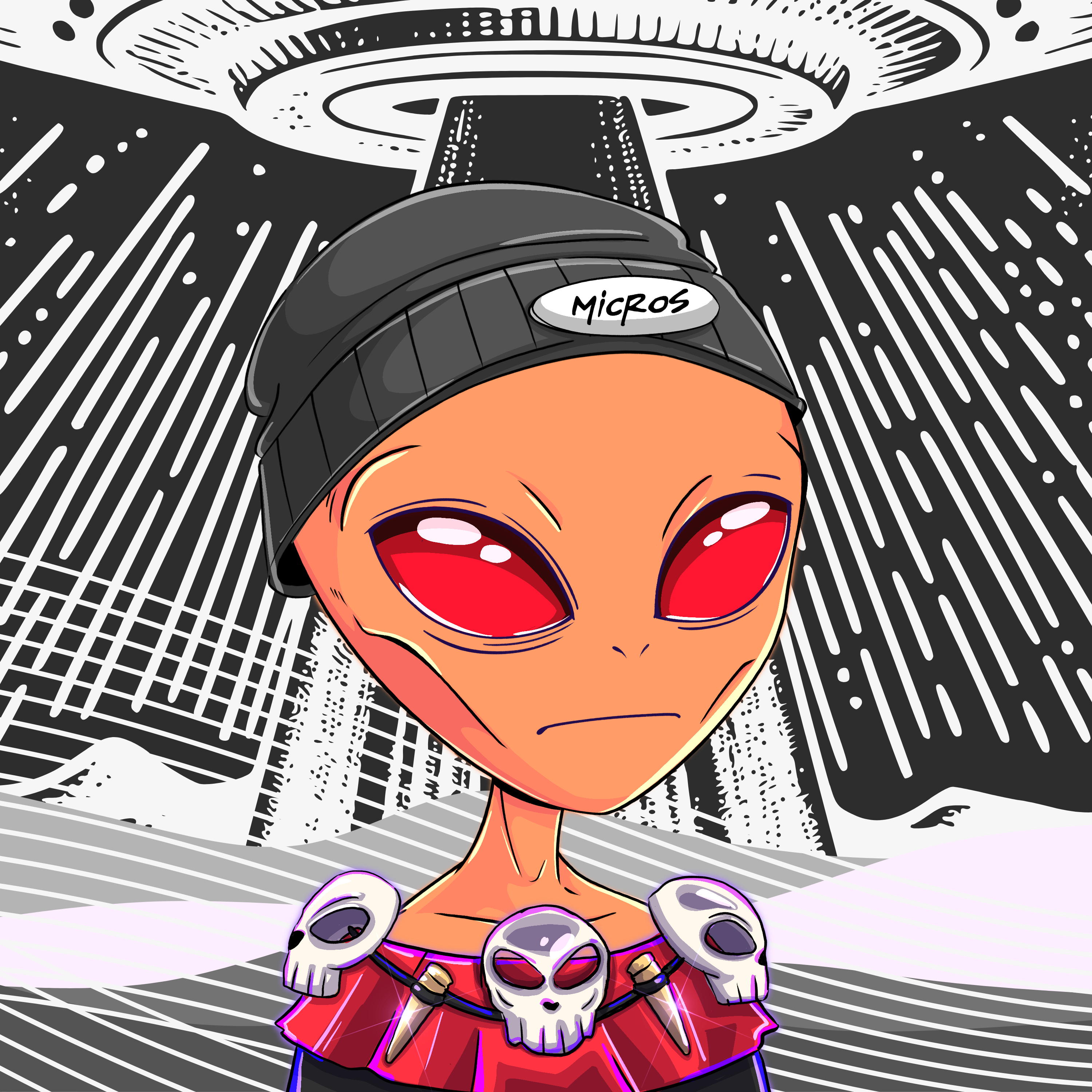 Micros #1911