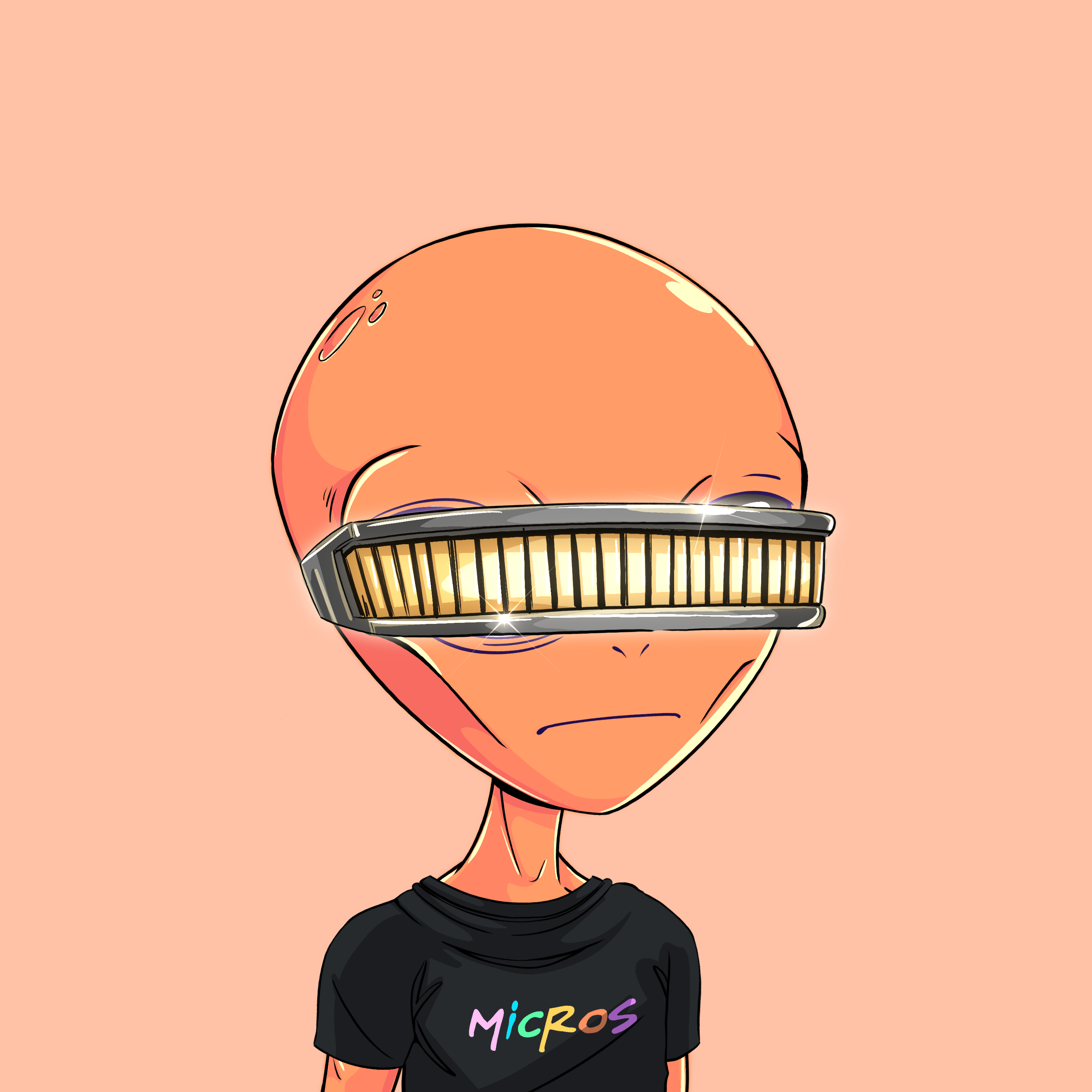 Micros #8803