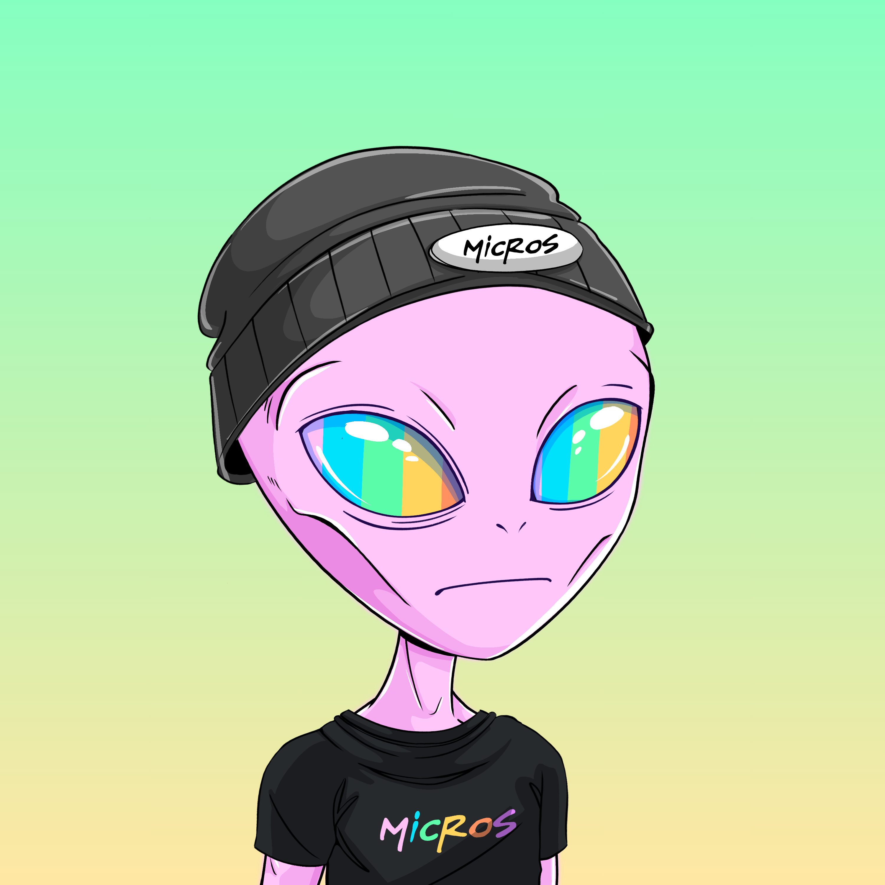 Micros #7921