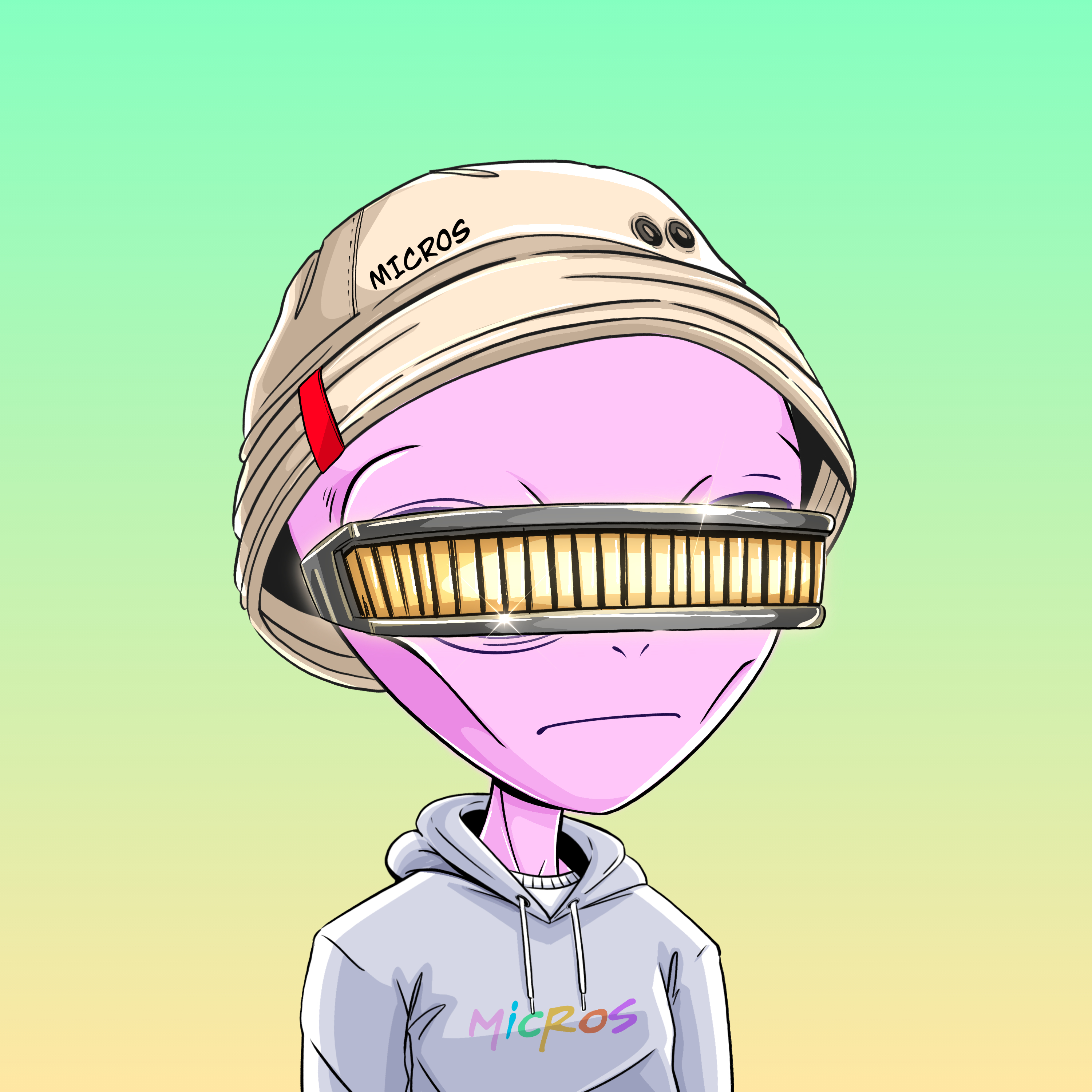 Micros #5556