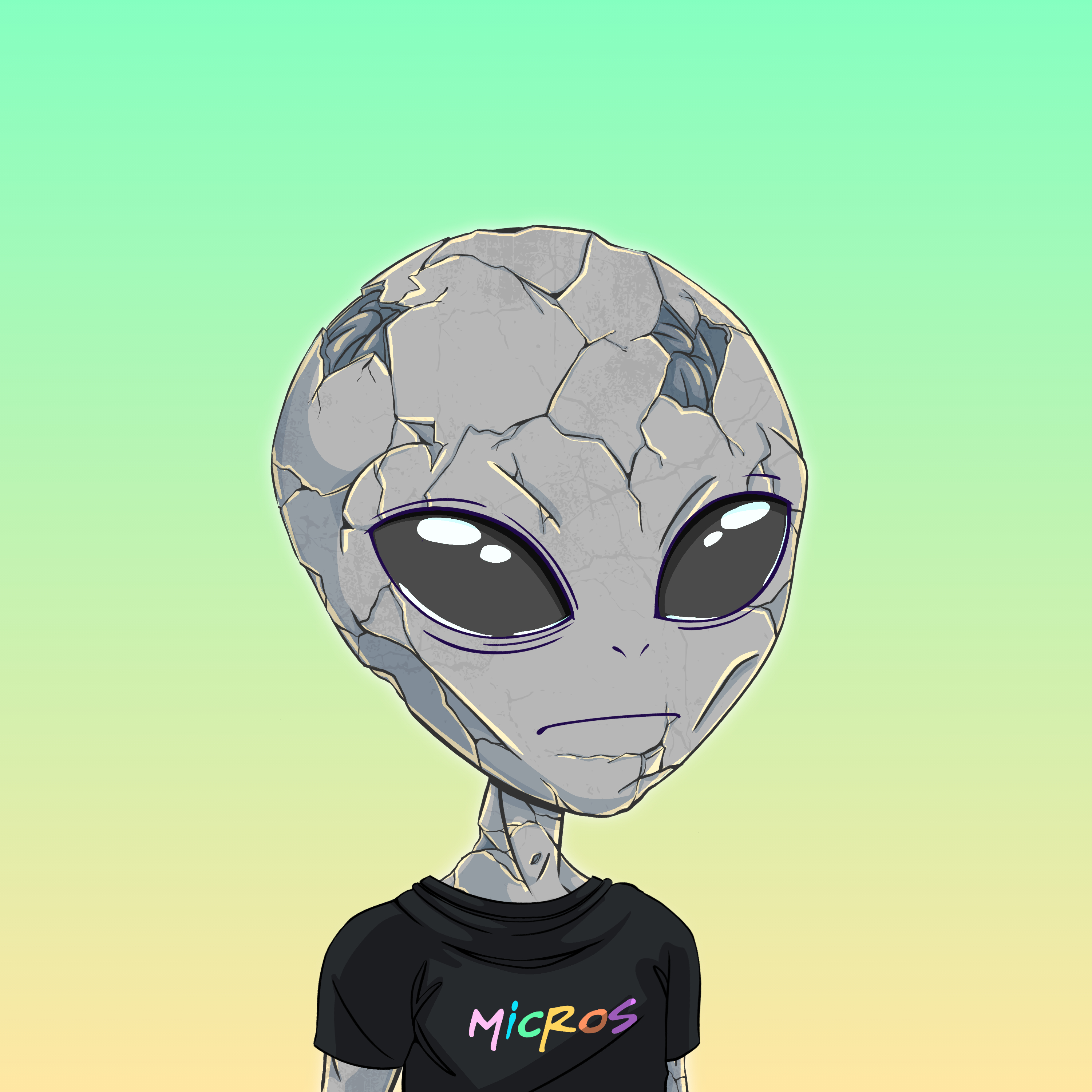Micros #2711