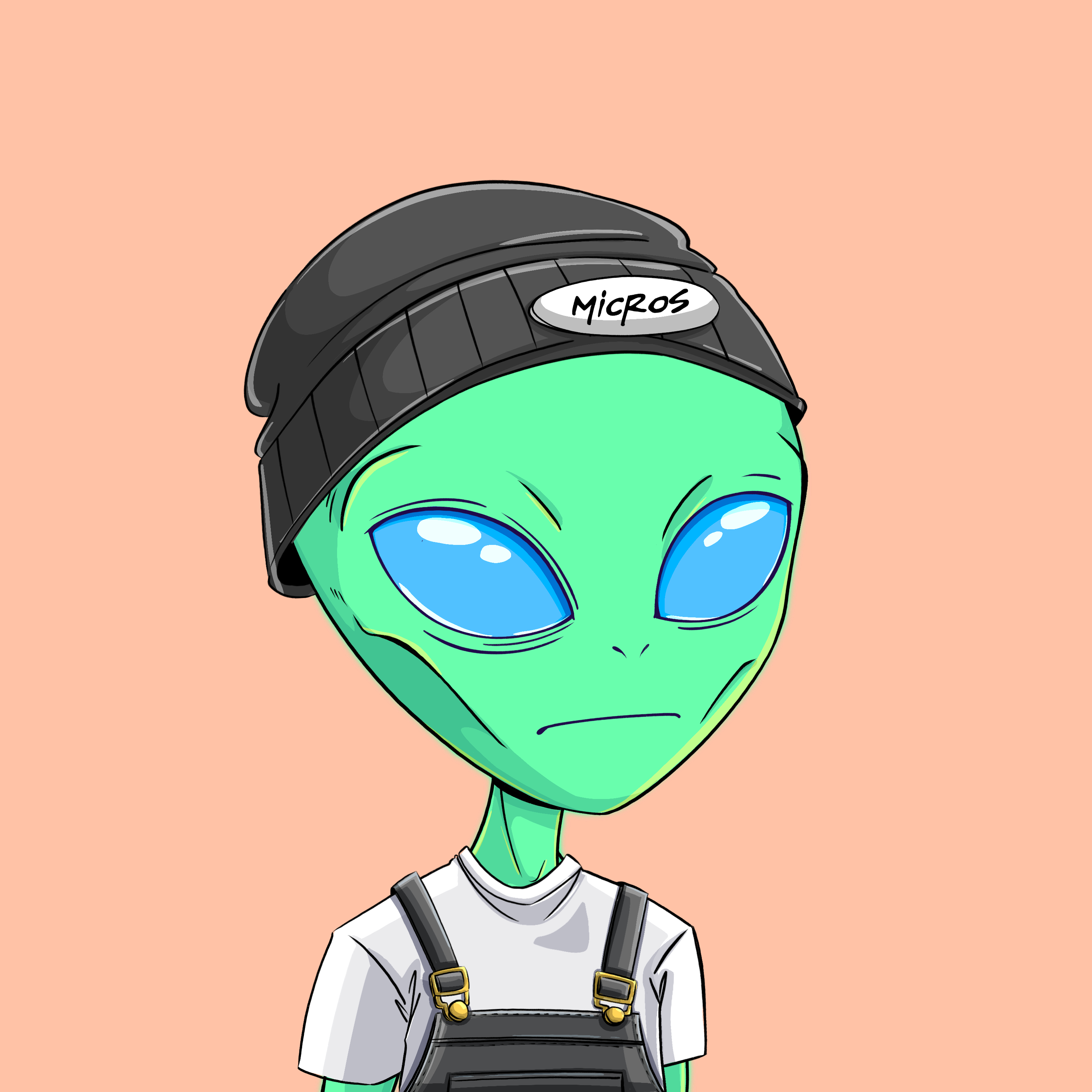 Micros #3322