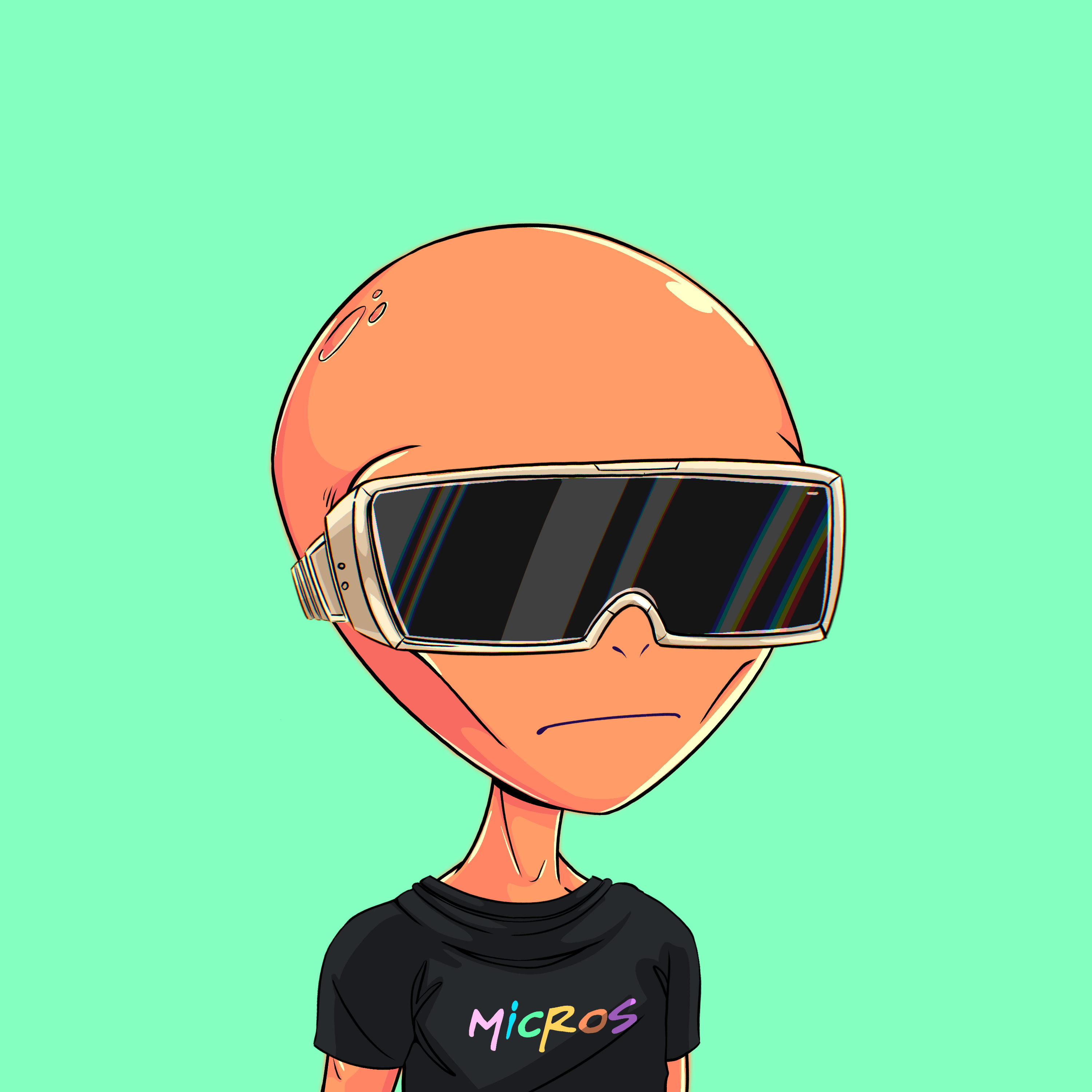 Micros #8298