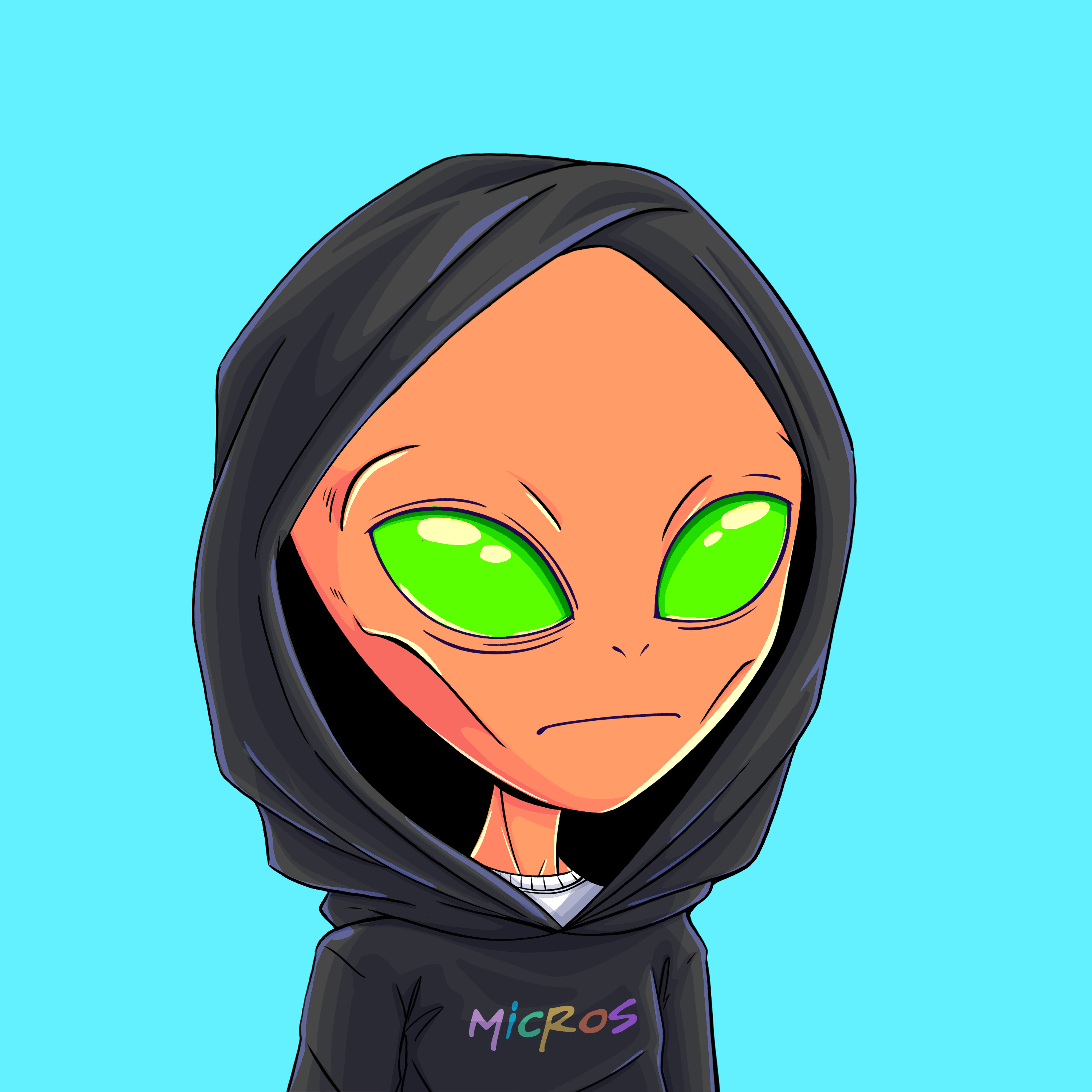 Micros #243