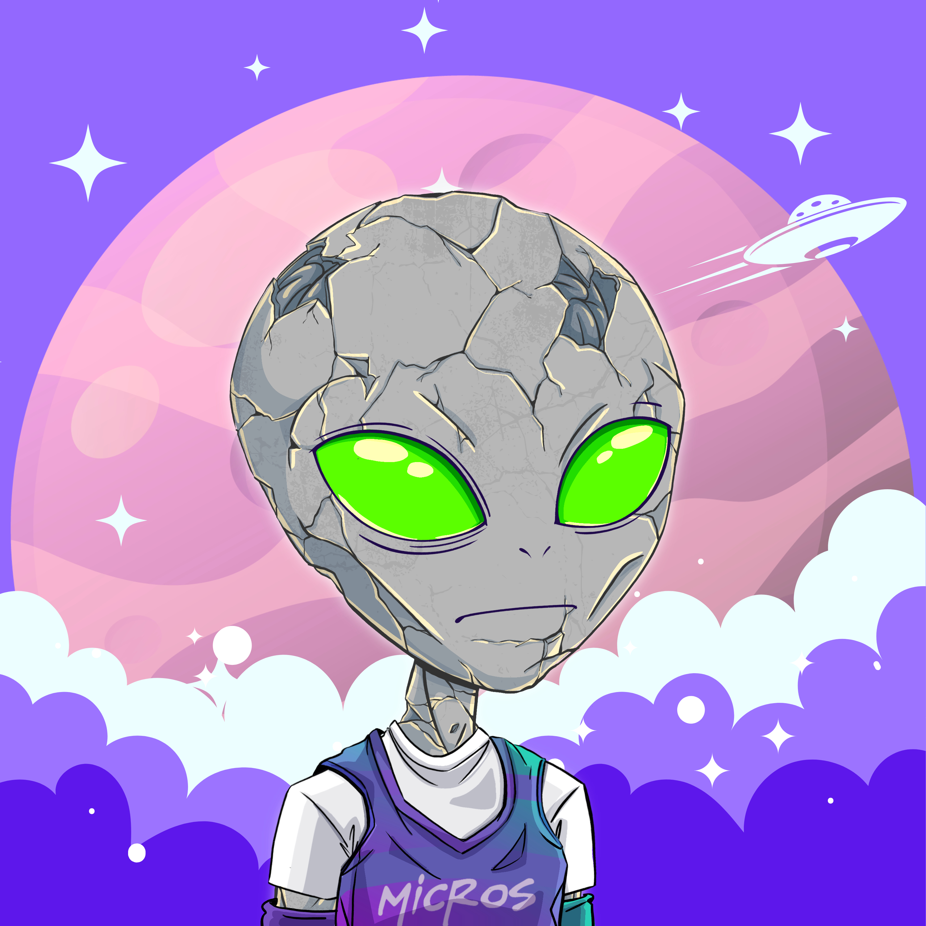 Micros #6425