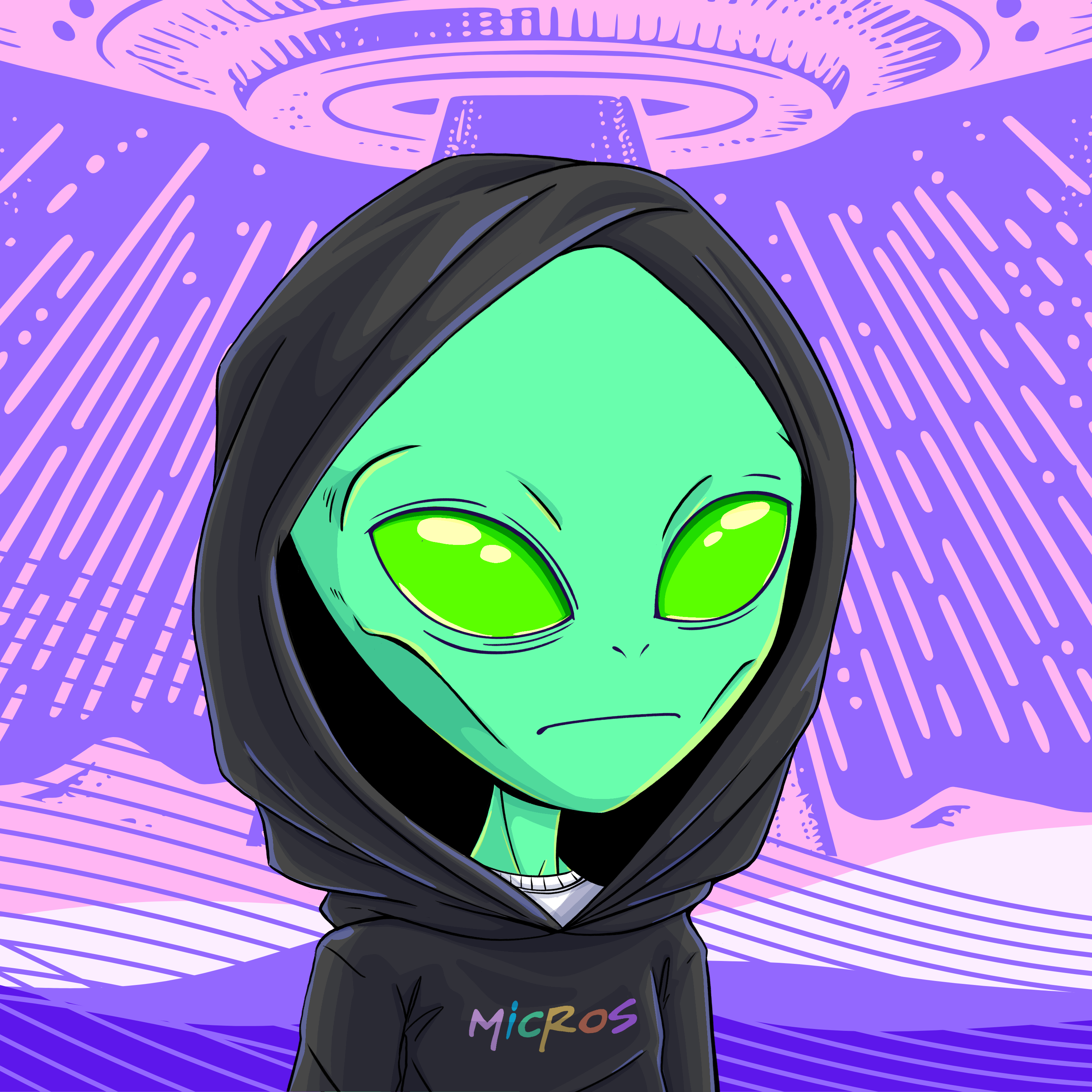 Micros #2770