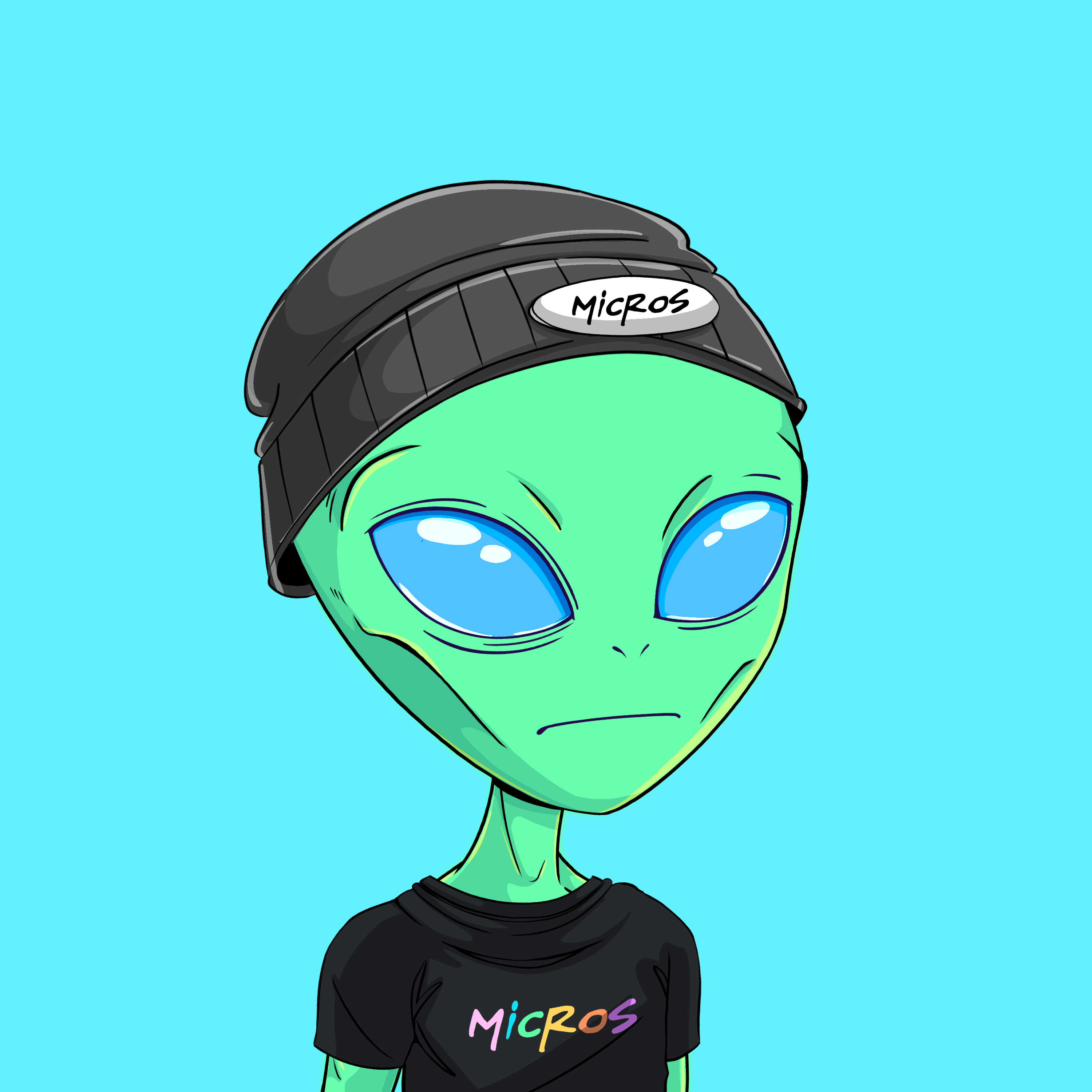 Micros #454