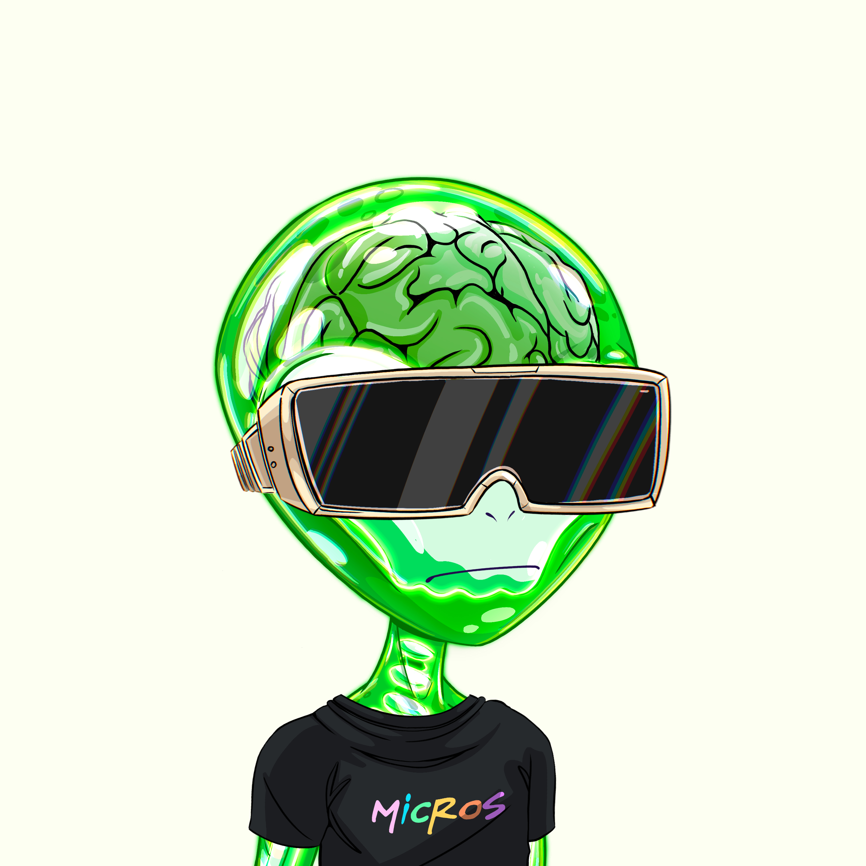 Micros #5036