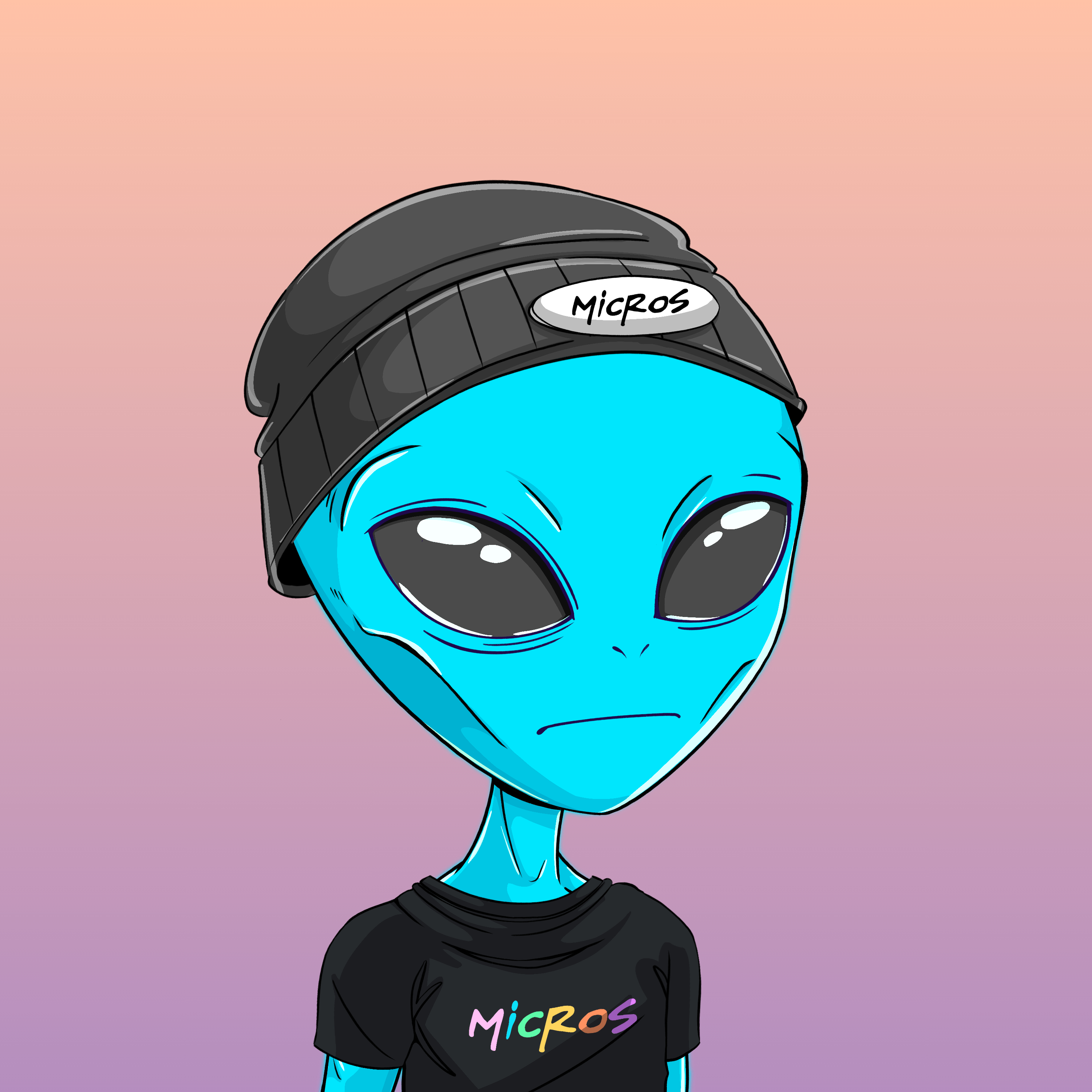 Micros #553
