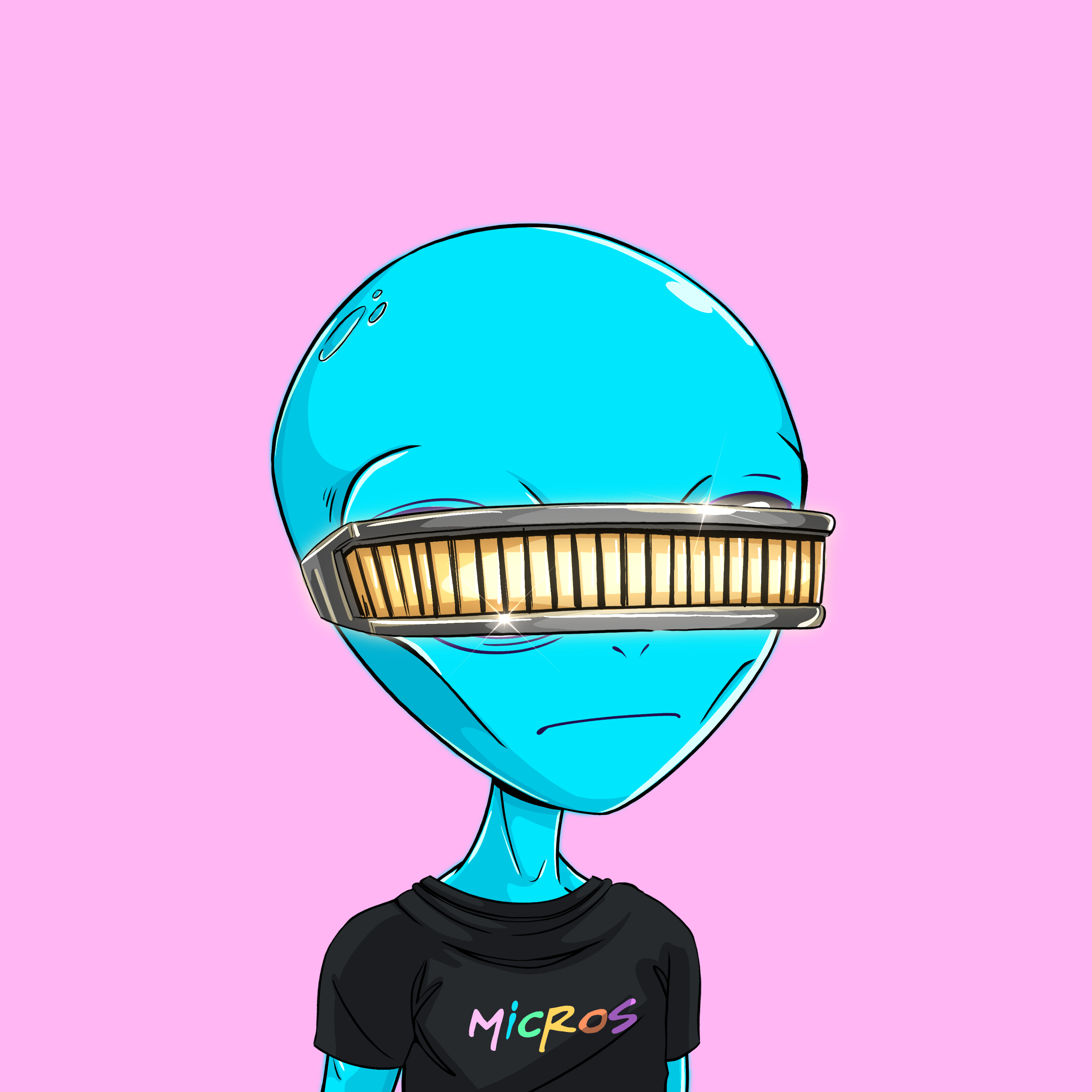 Micros #4806