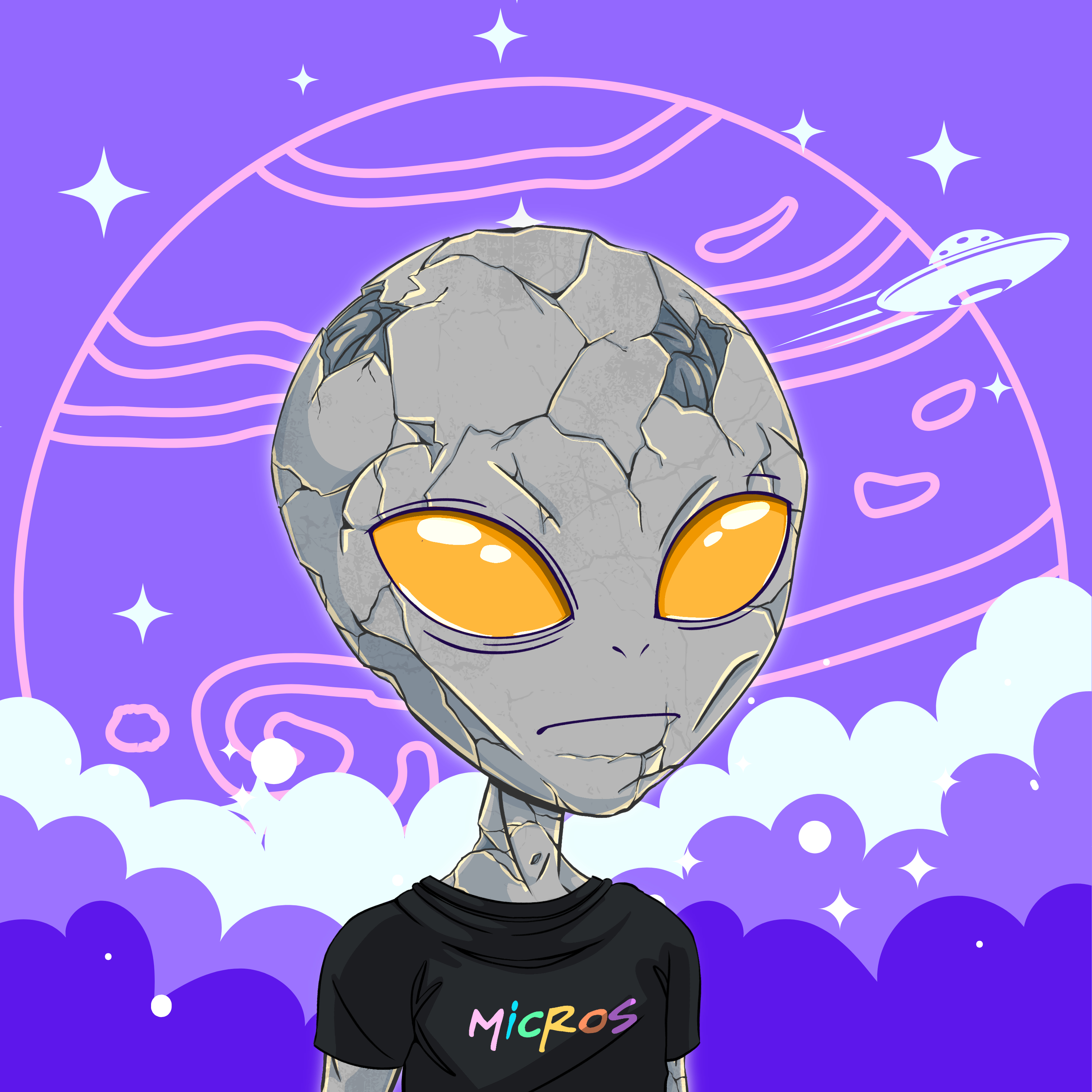 Micros #1318