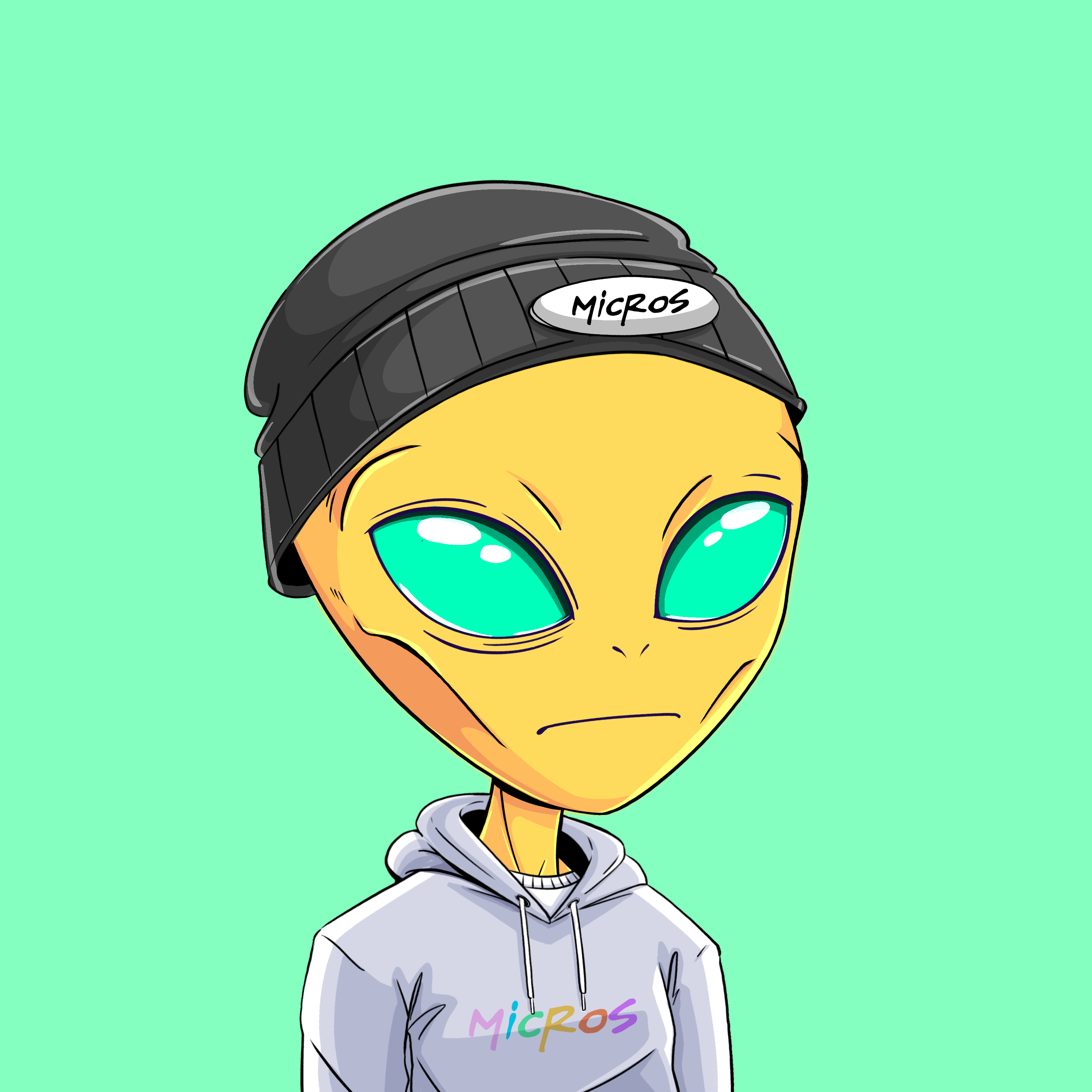 Micros #903