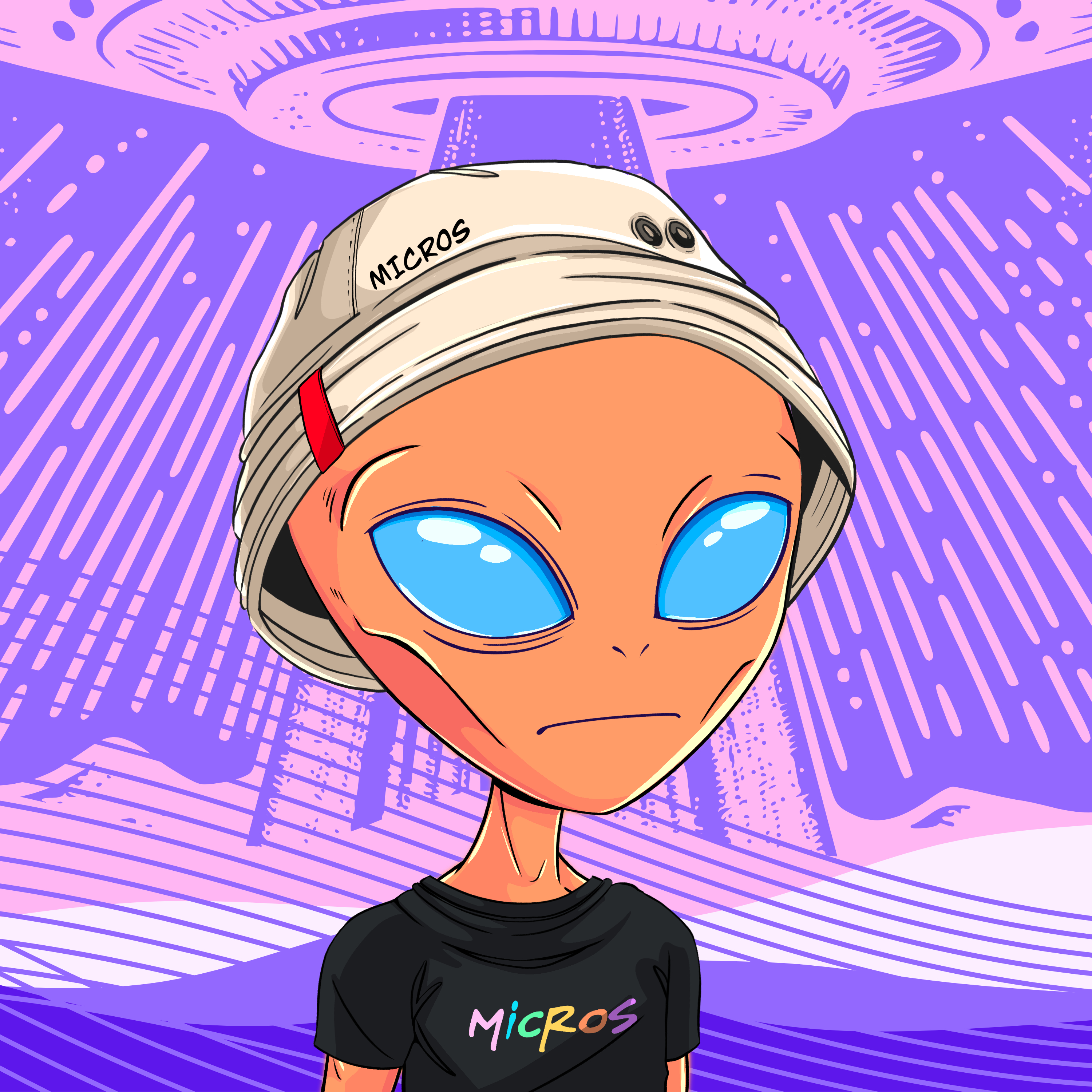 Micros #8707
