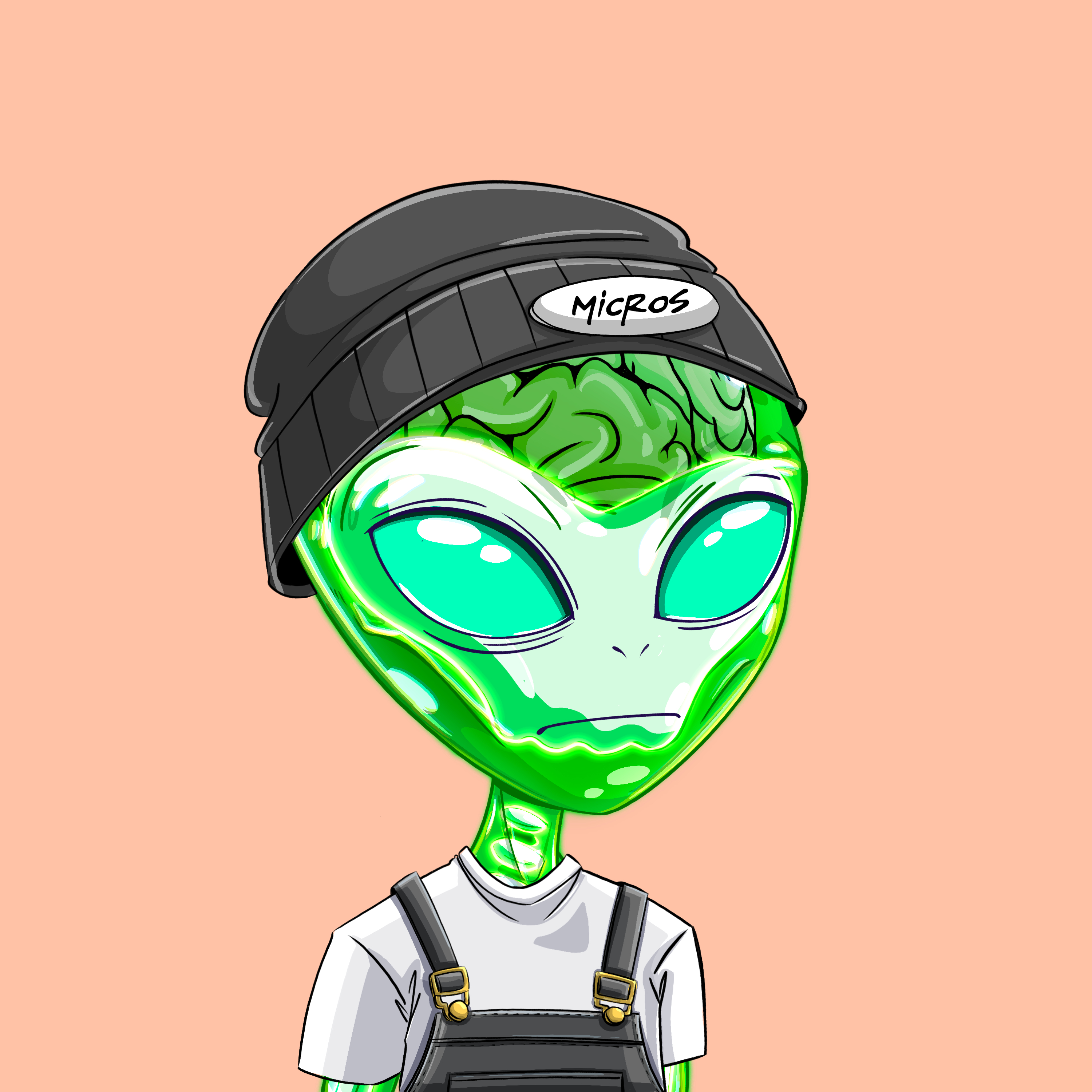 Micros #6303