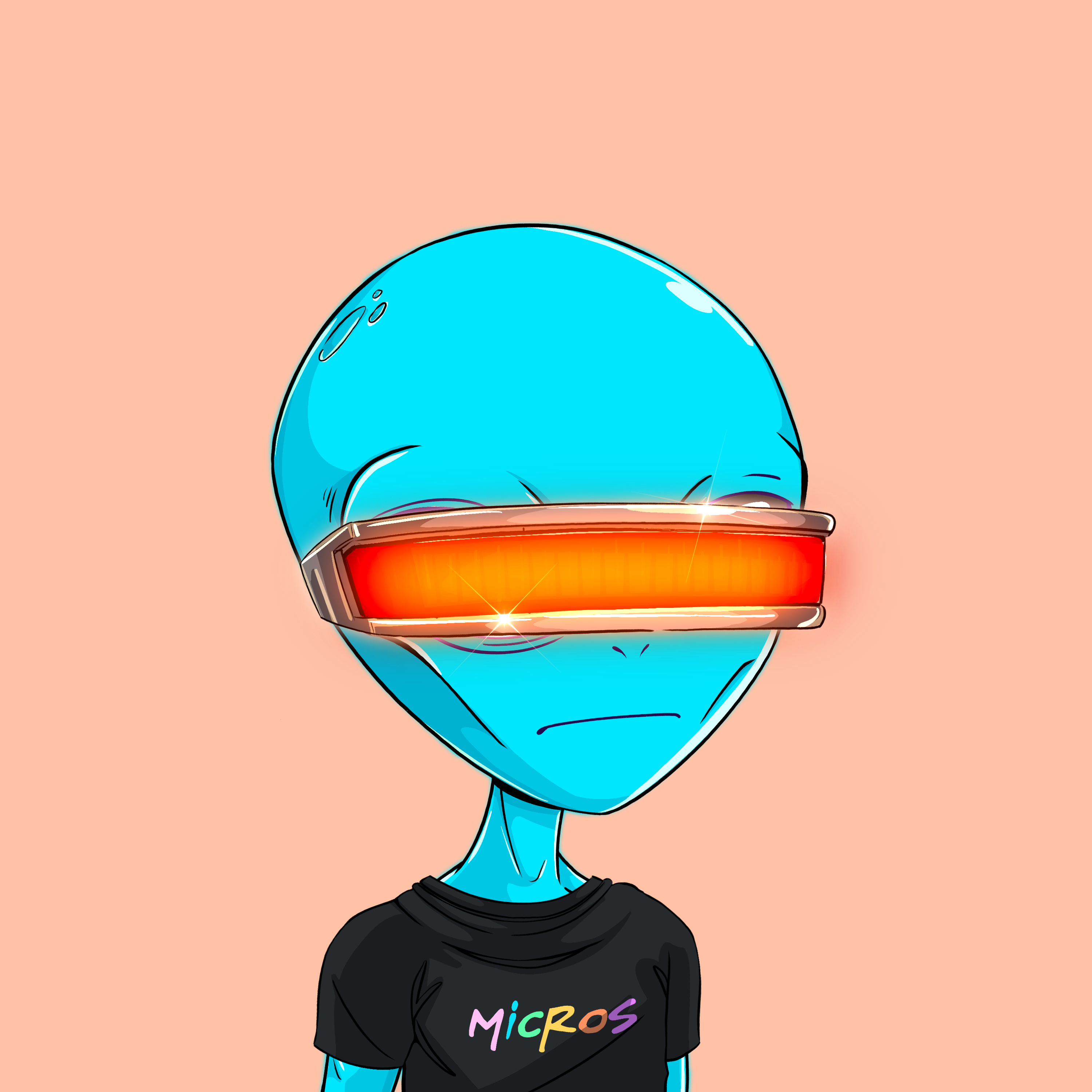 Micros #955