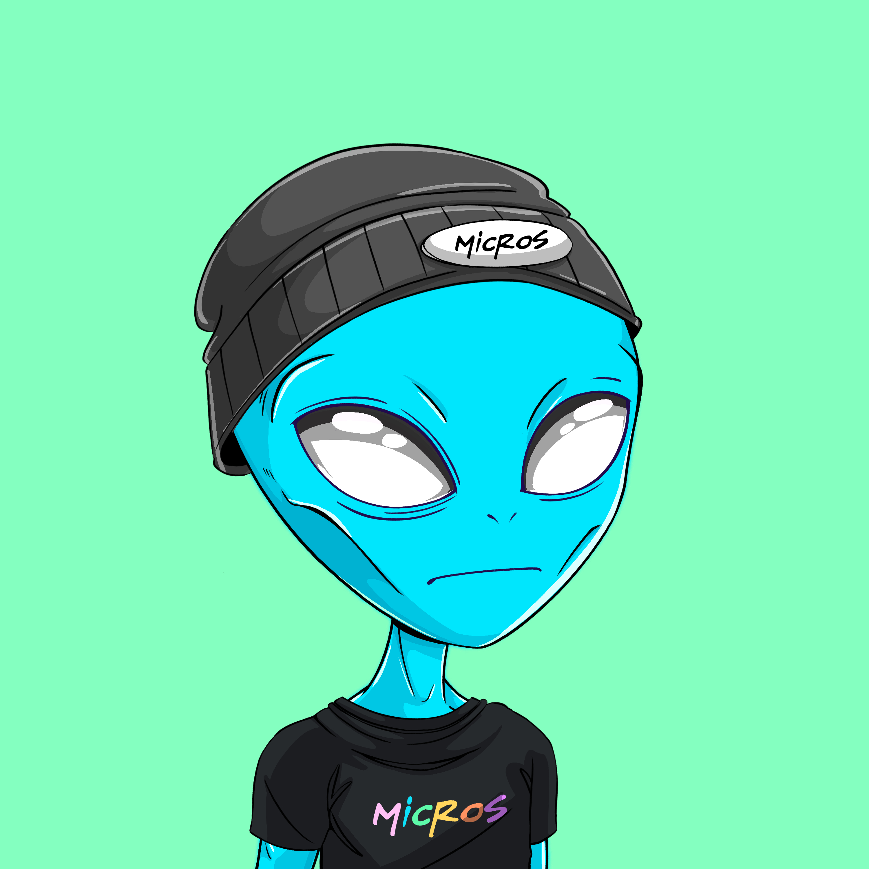 Micros #5698