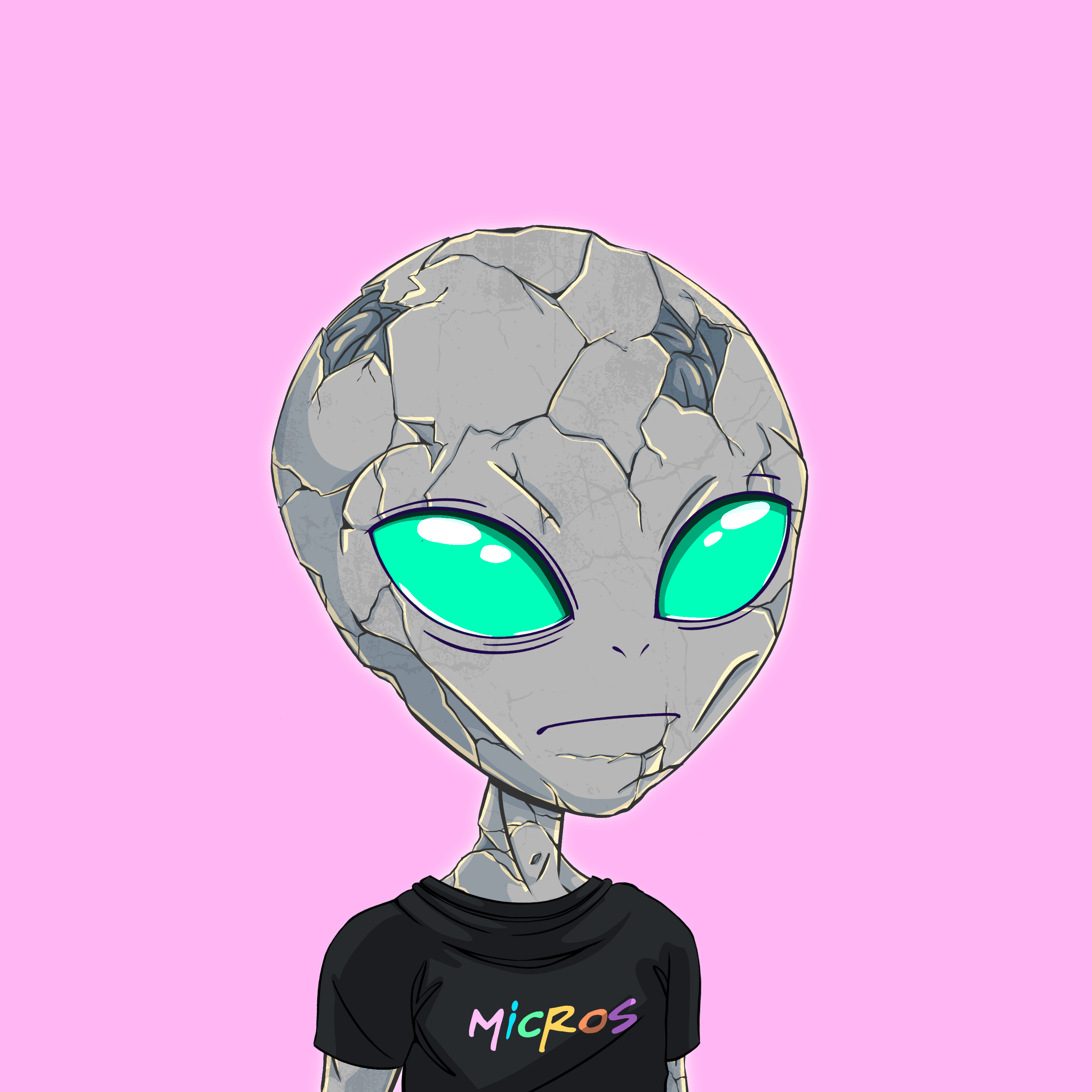 Micros #3587