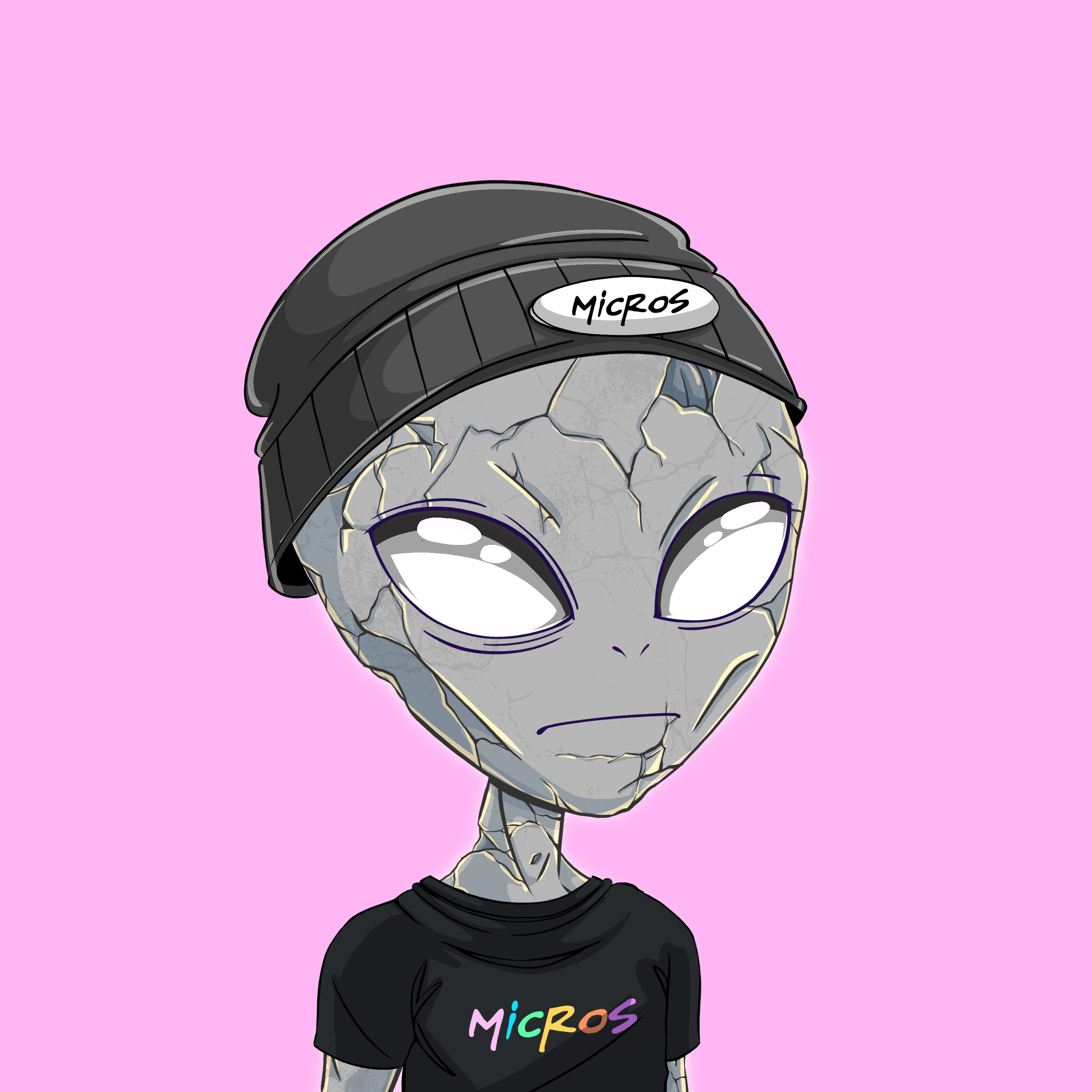 Micros #4335