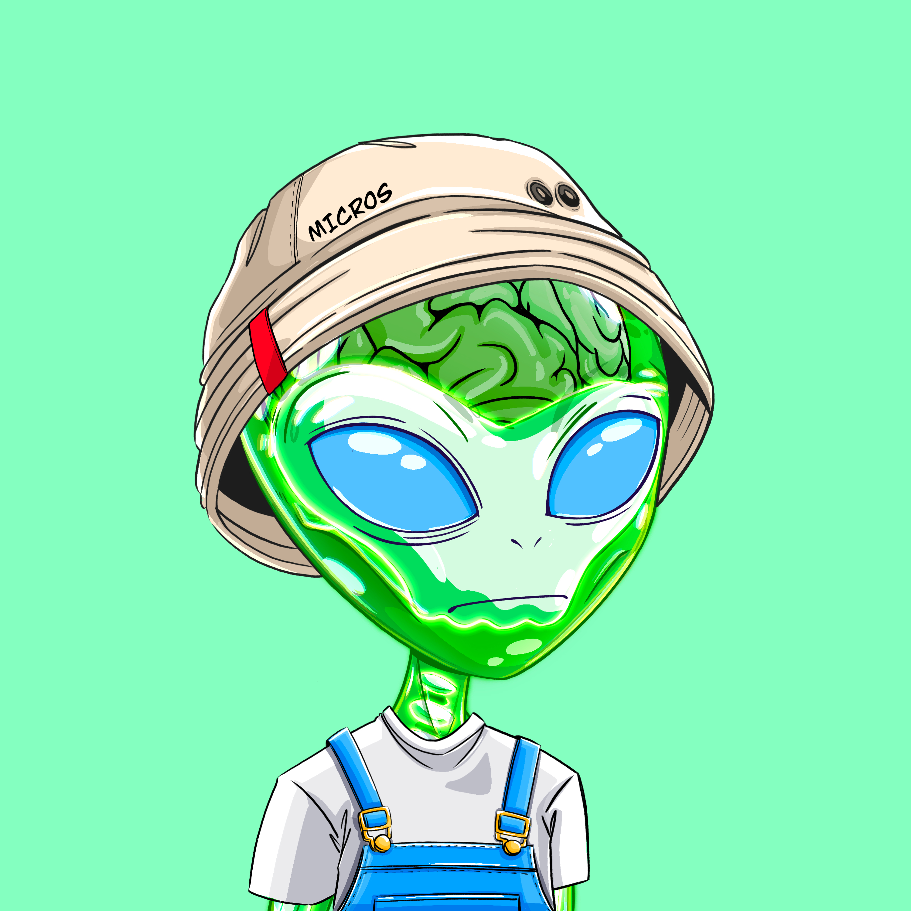 Micros #8369