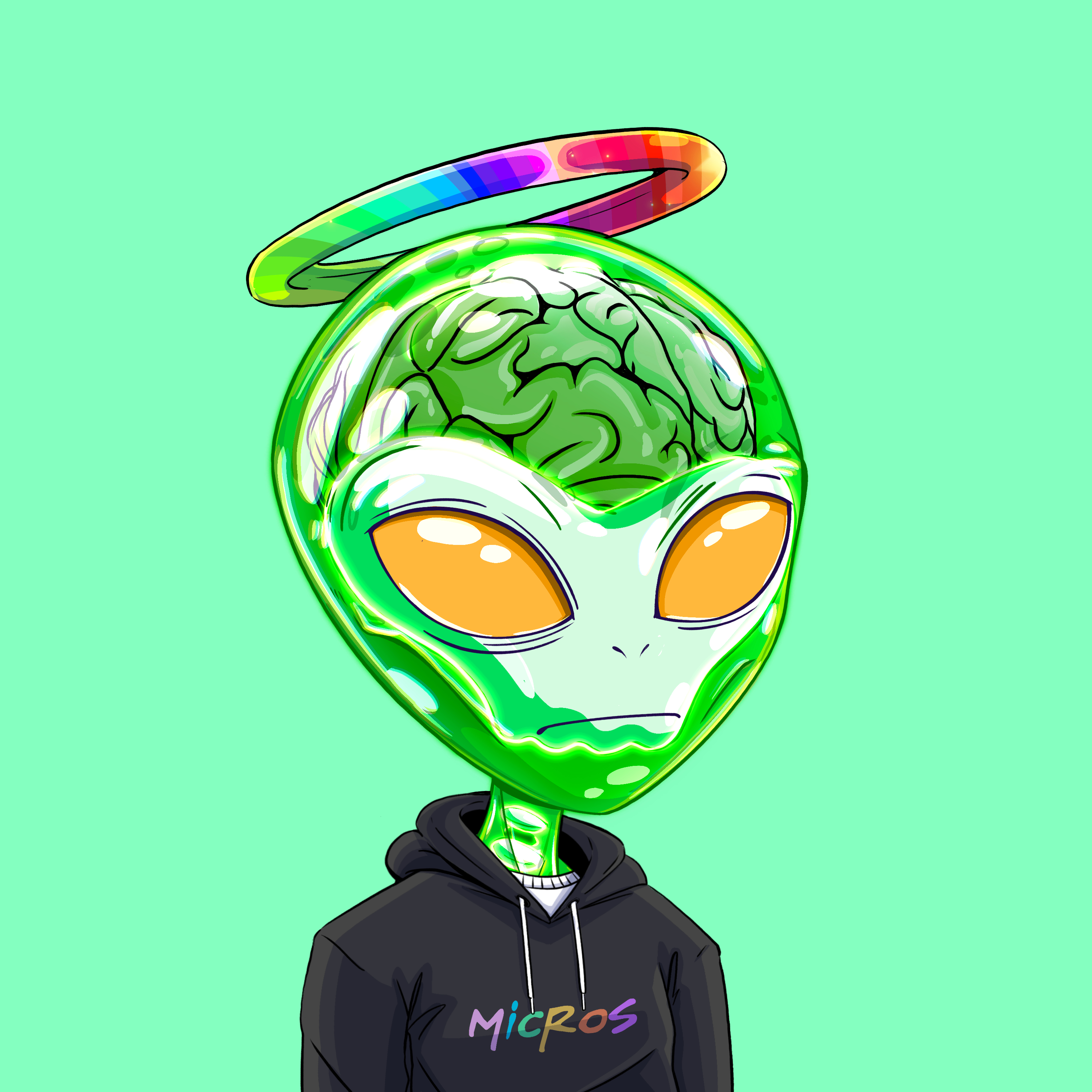 Micros #6664