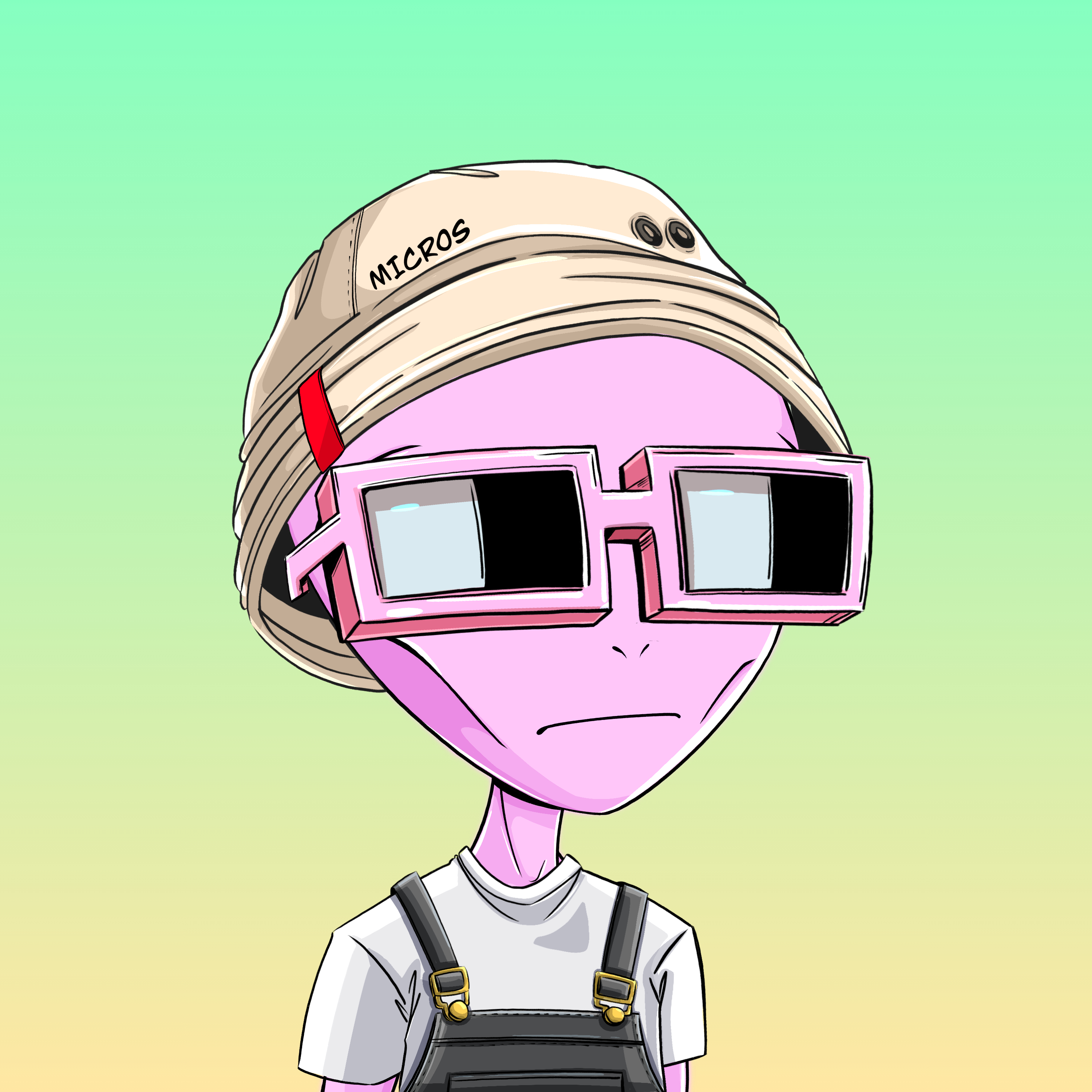 Micros #9019