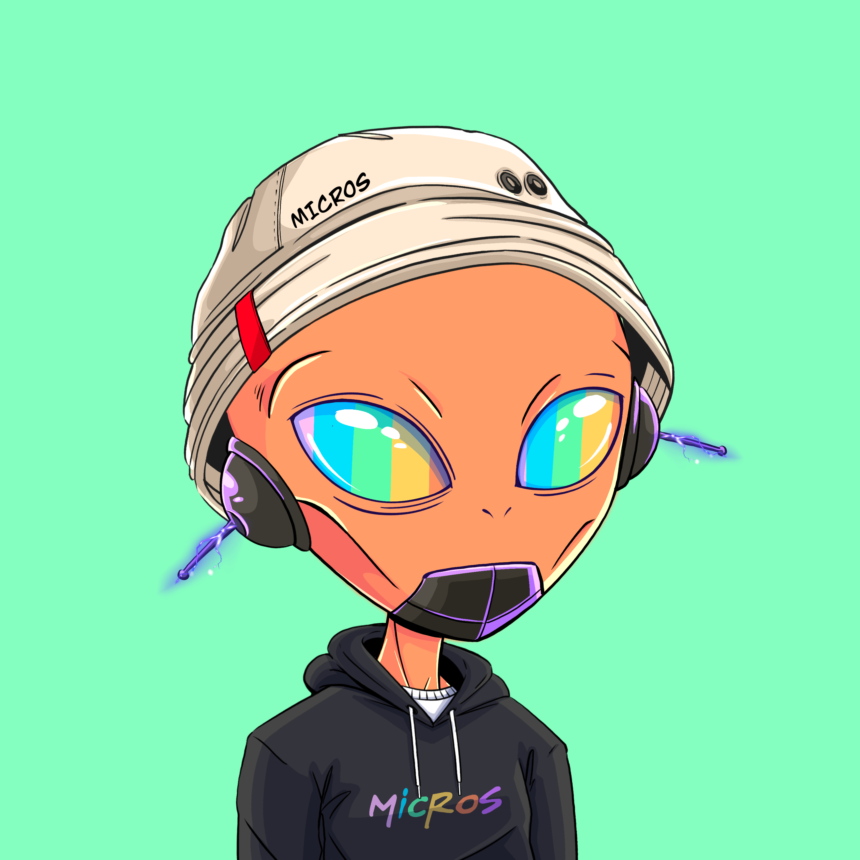Micros #5247
