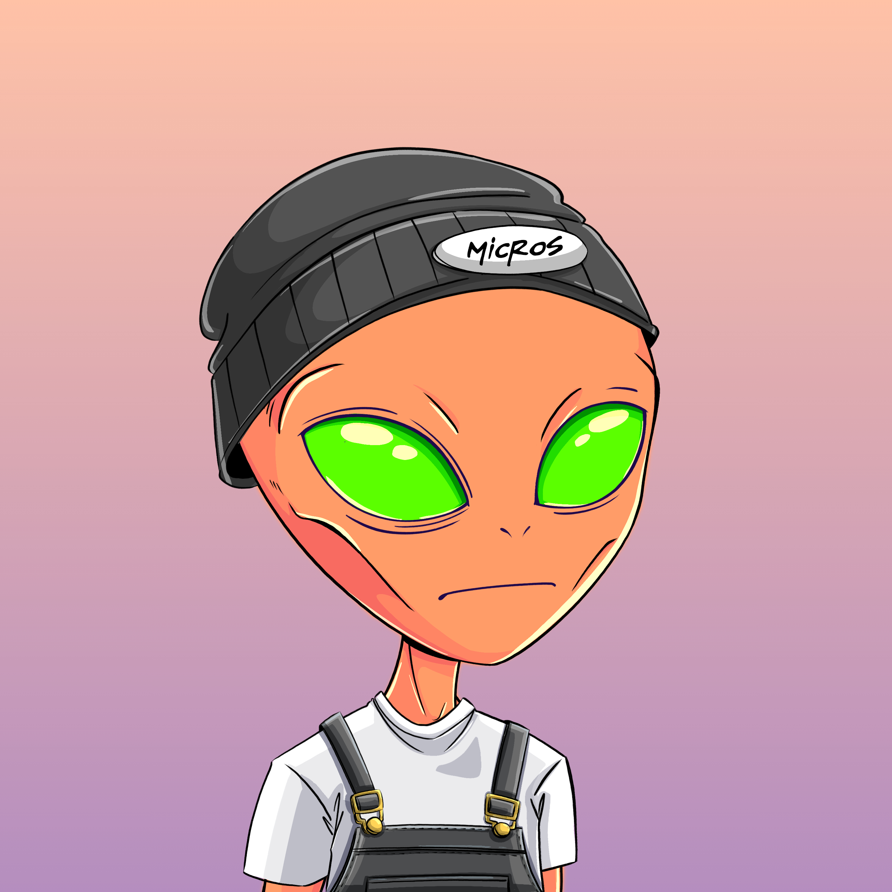 Micros #8788