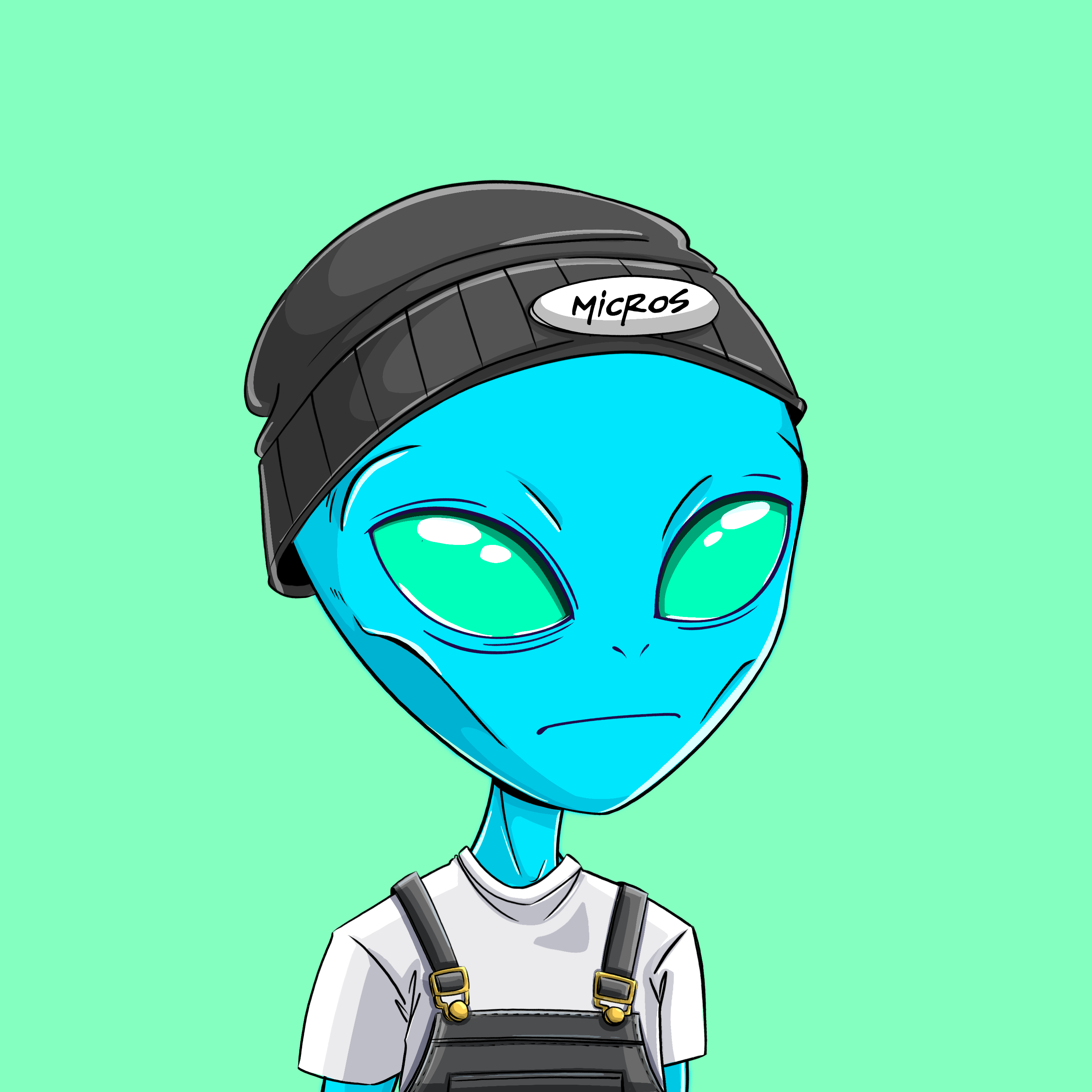 Micros #3215