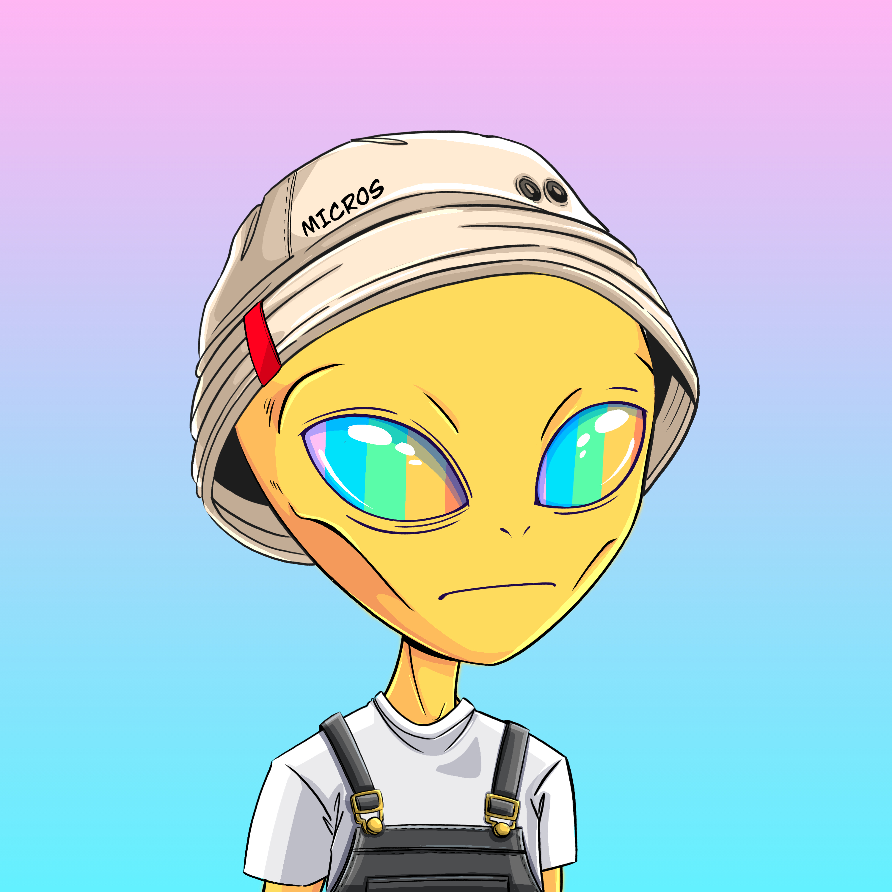 Micros #3753