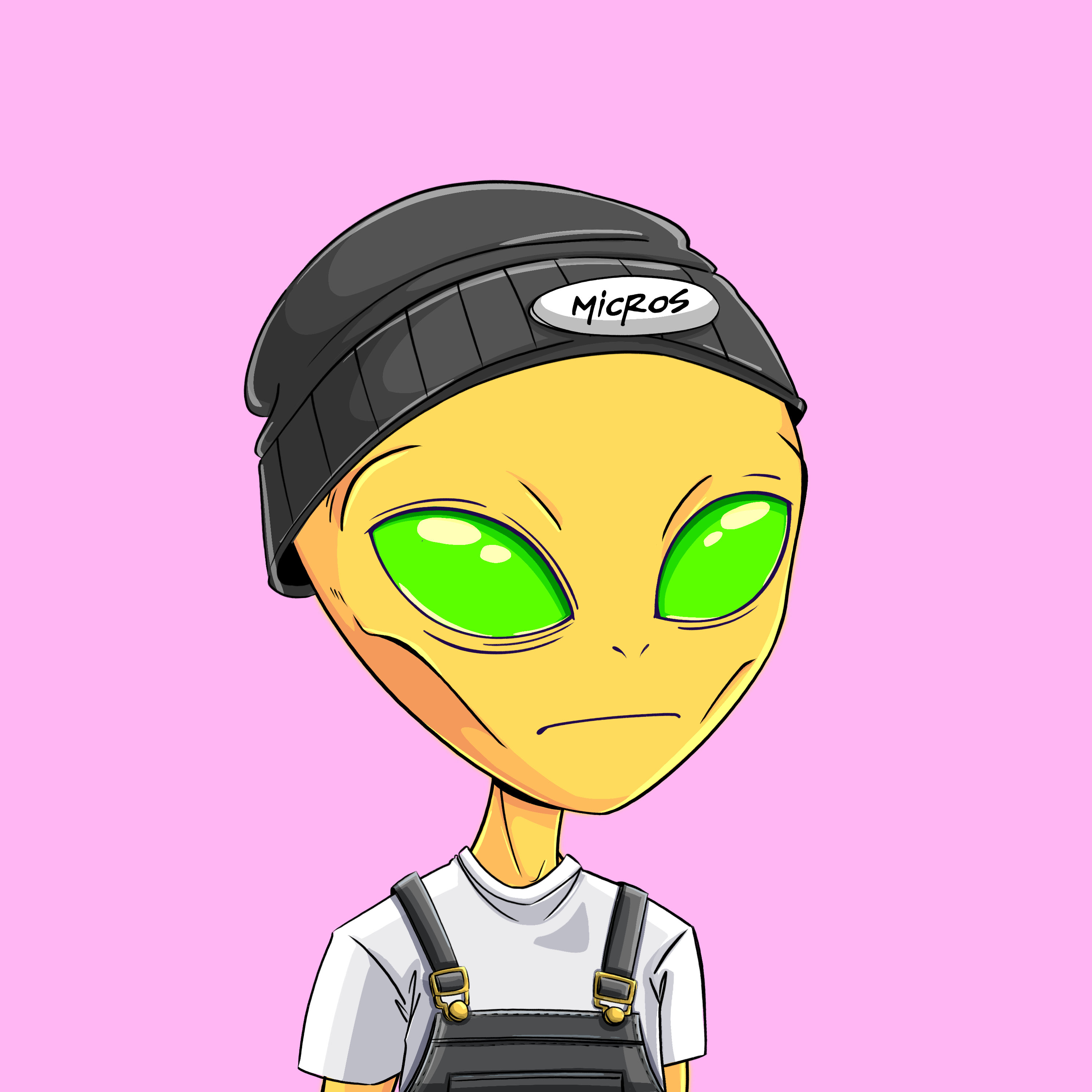 Micros #7933